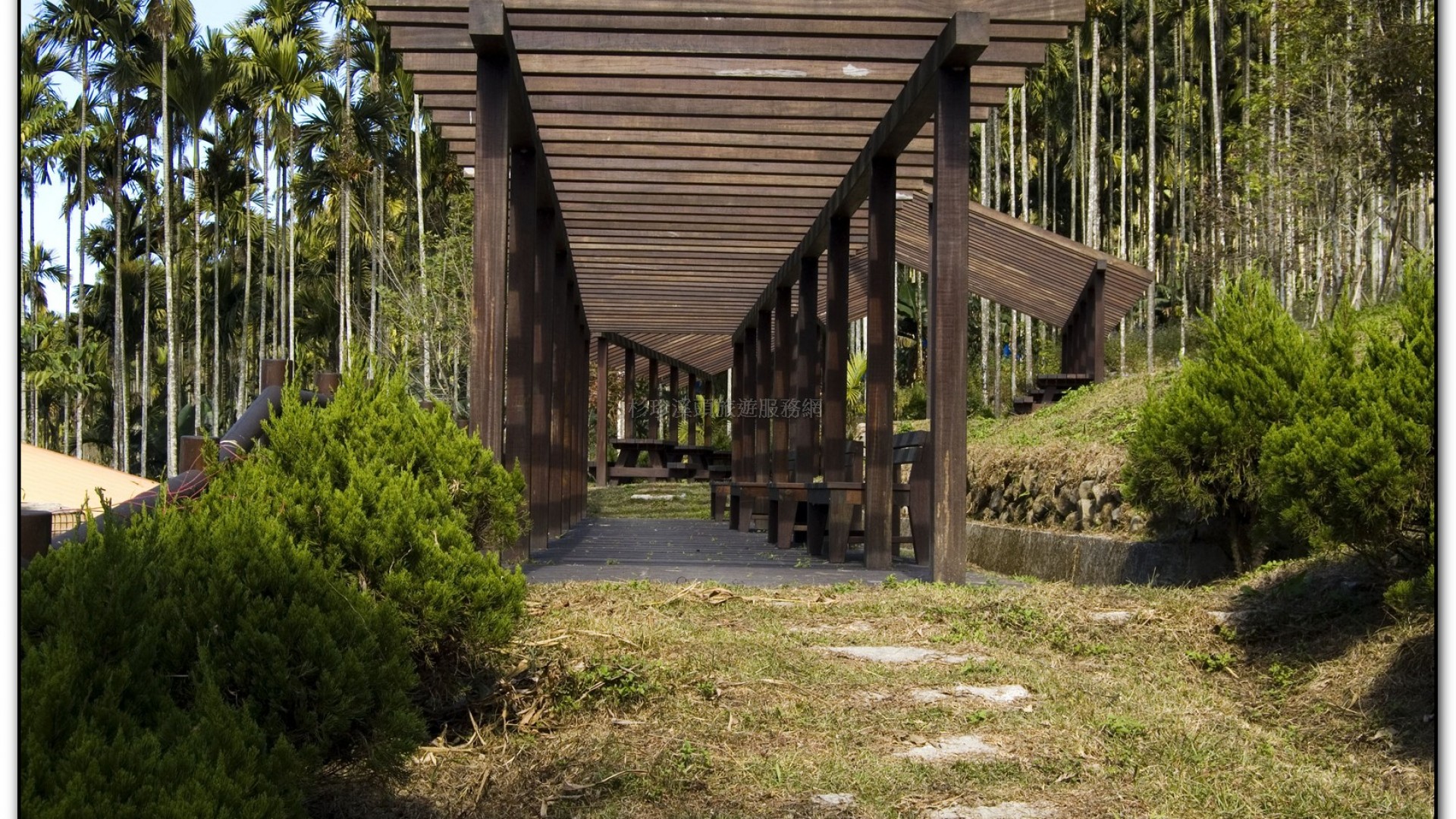 三生緣區-溪頭旅遊景點