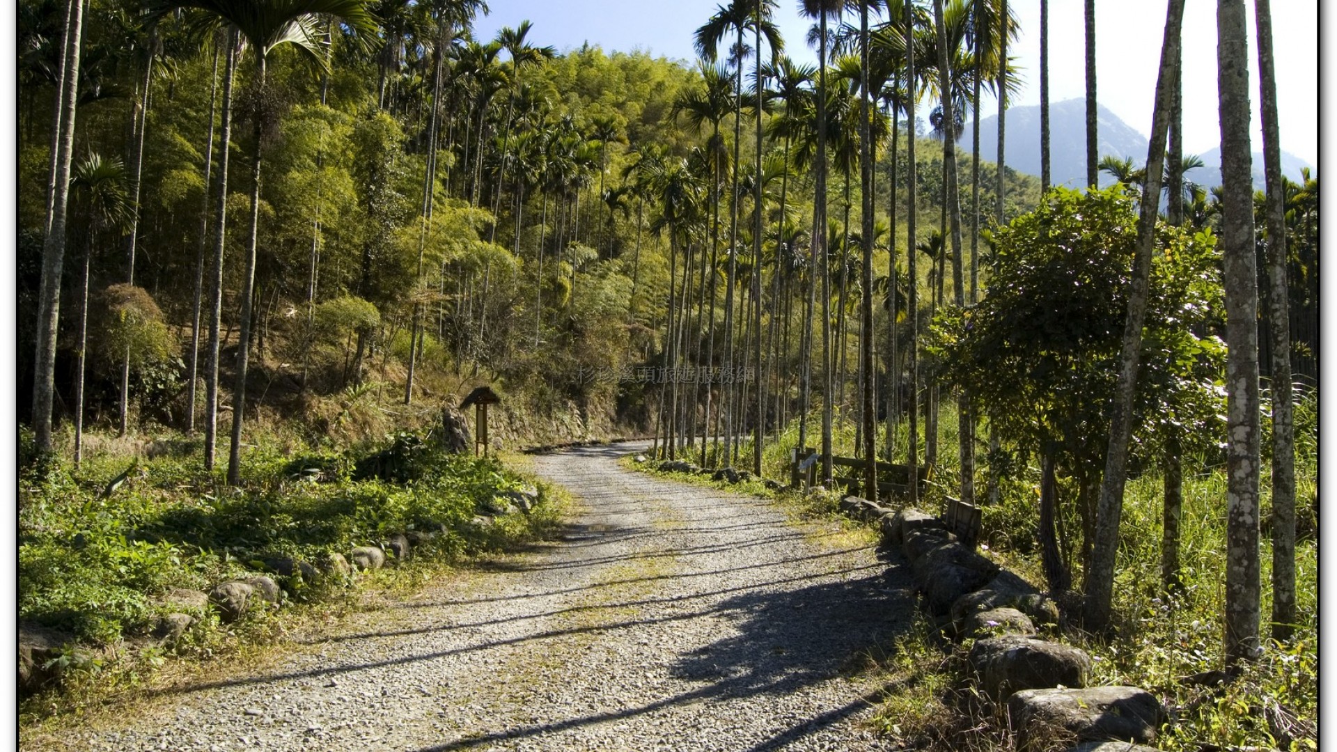 三生緣區-溪頭旅遊景點