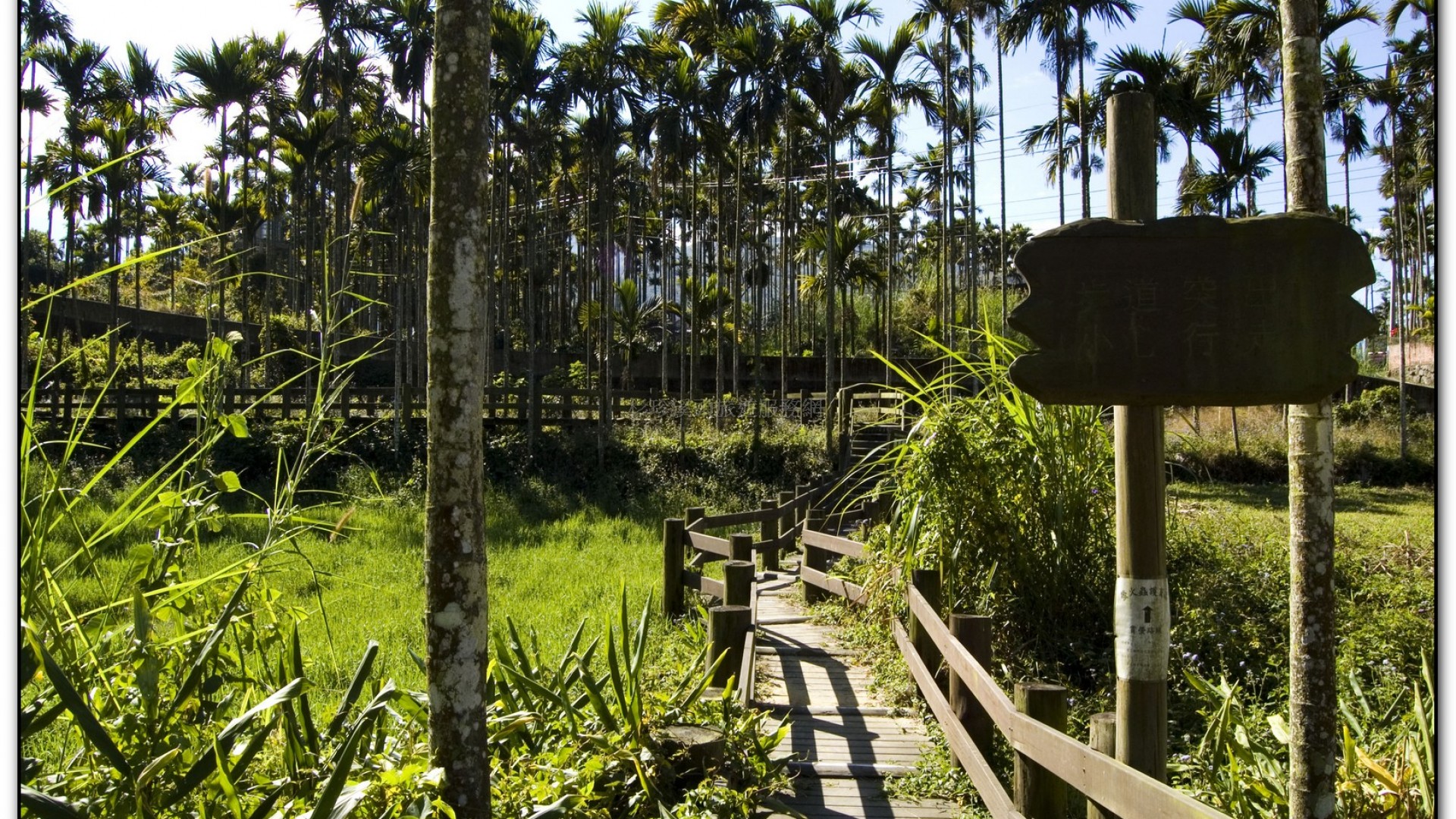 三生緣區-溪頭旅遊景點