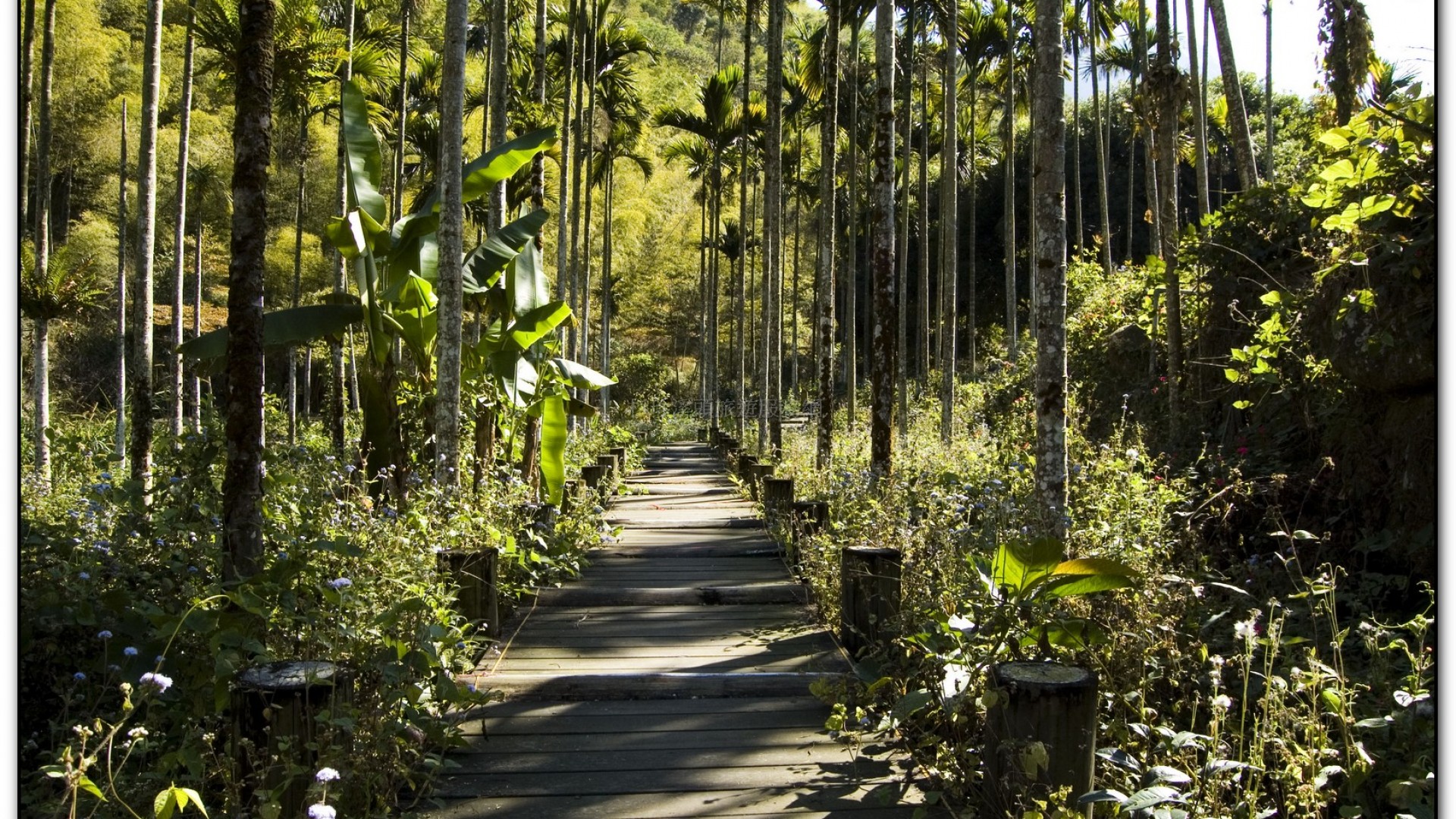三生緣區-溪頭旅遊景點