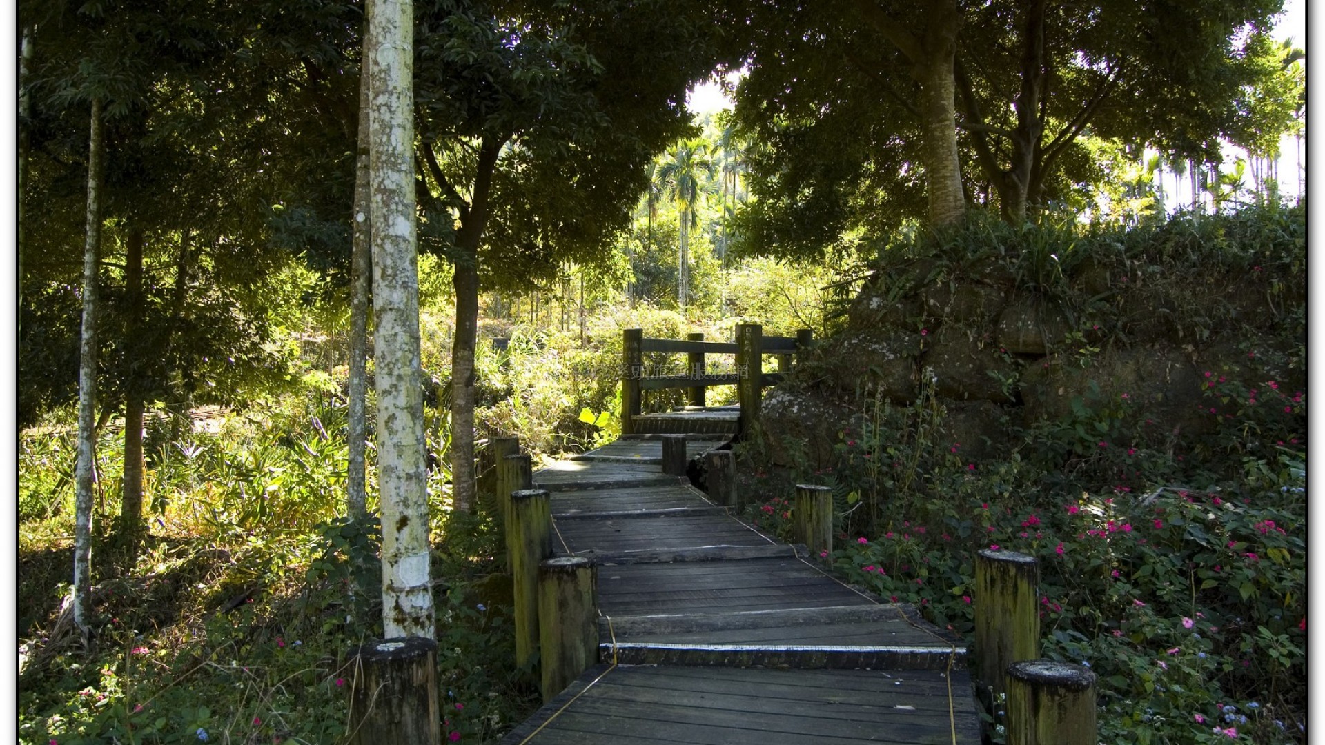 三生緣區-溪頭旅遊景點