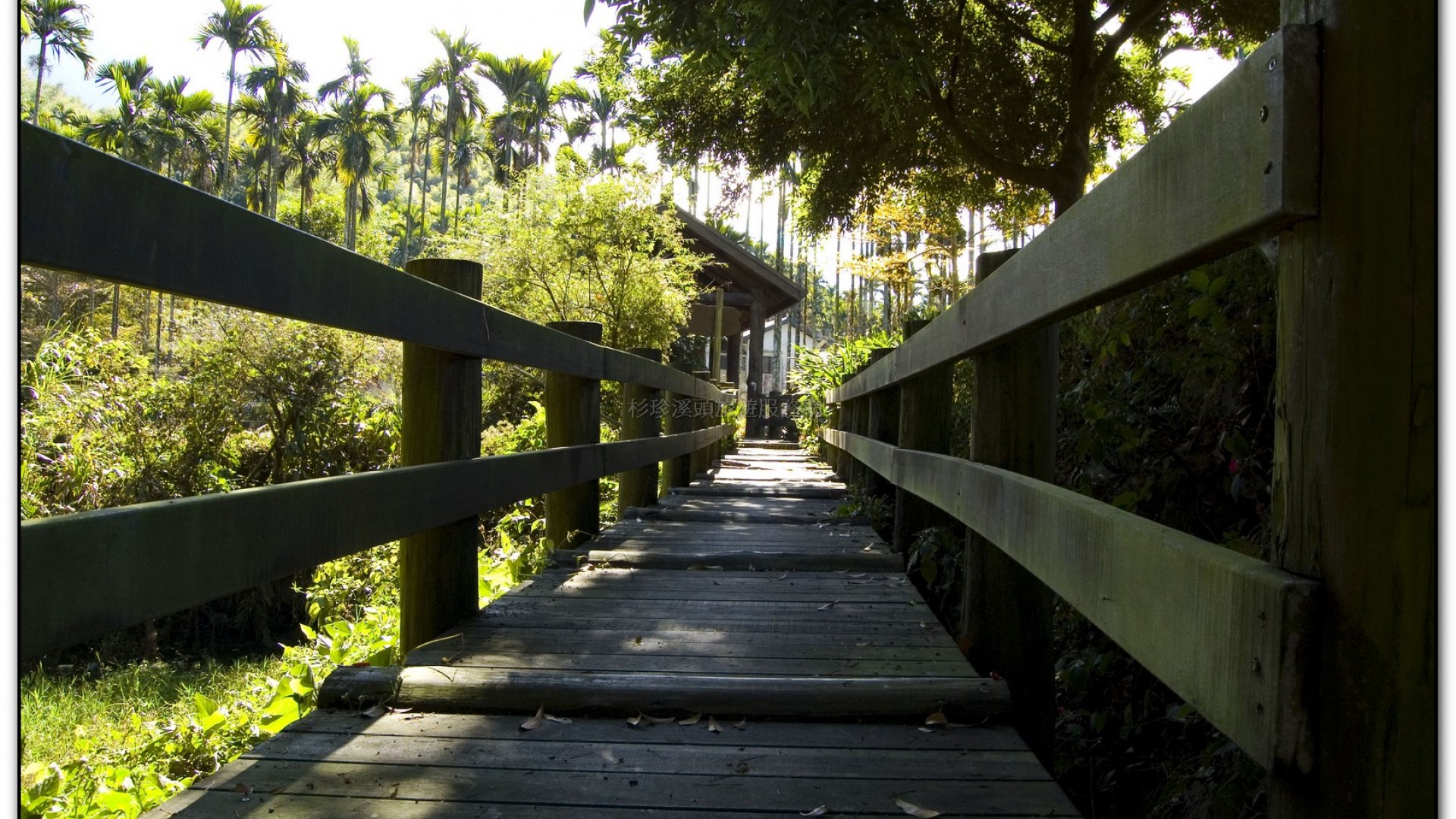 三生緣區-溪頭旅遊景點