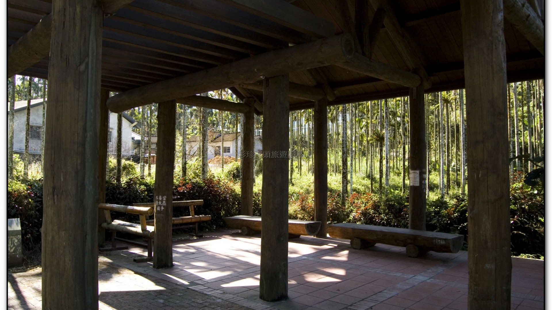 三生緣區-溪頭旅遊景點