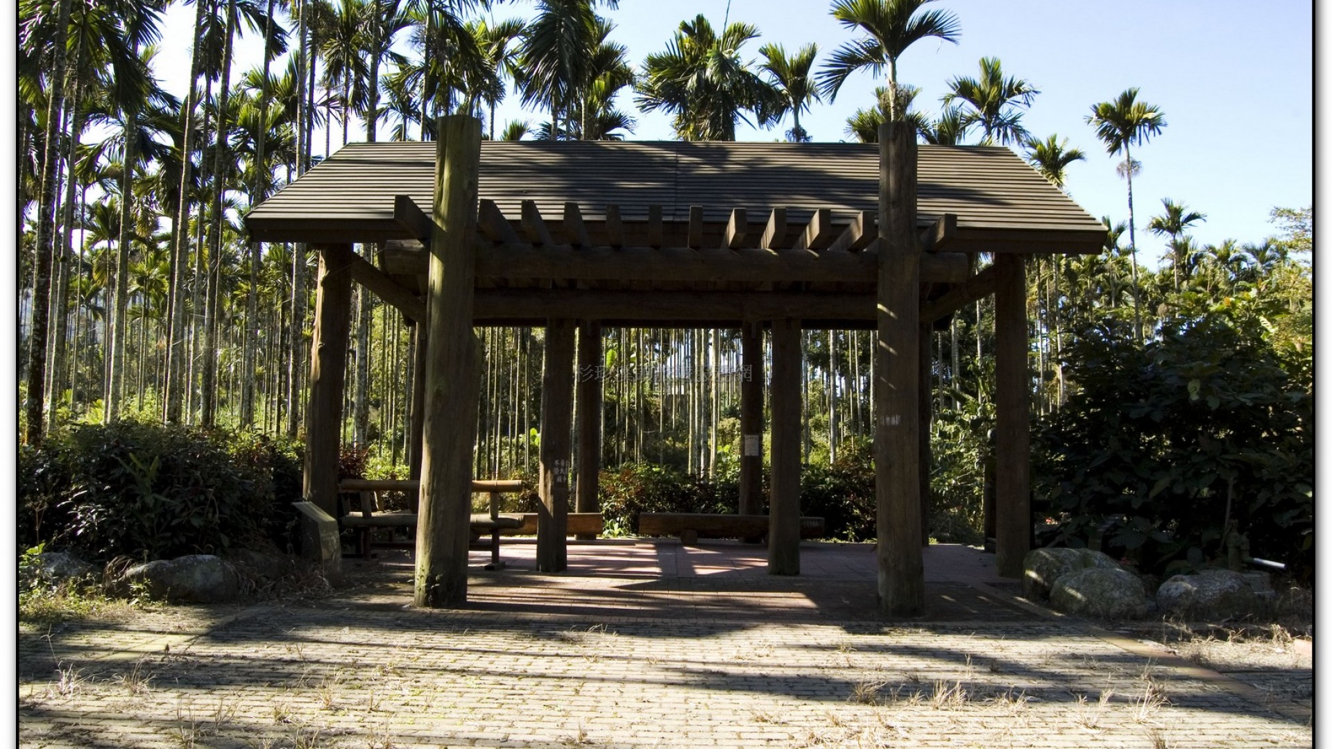 三生緣區-溪頭旅遊景點