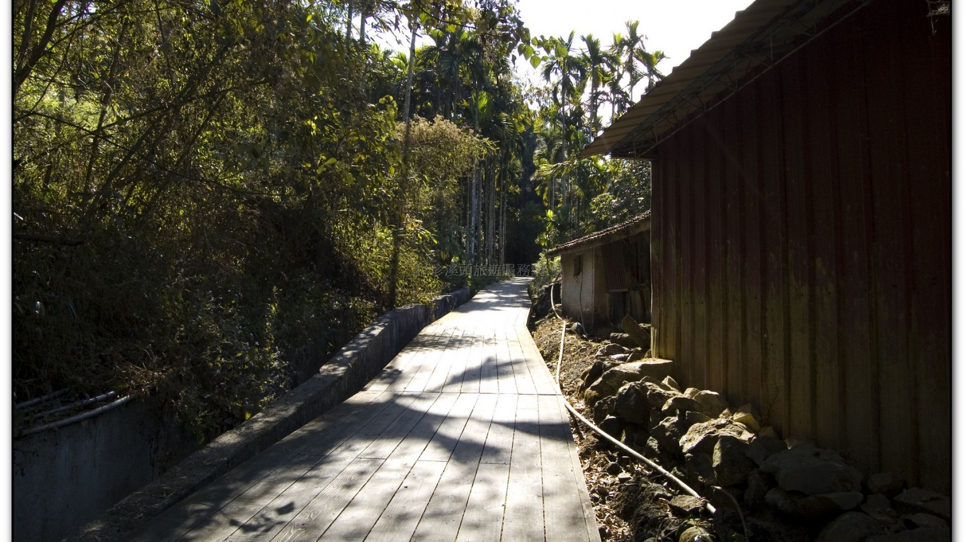 三生緣區-溪頭旅遊景點