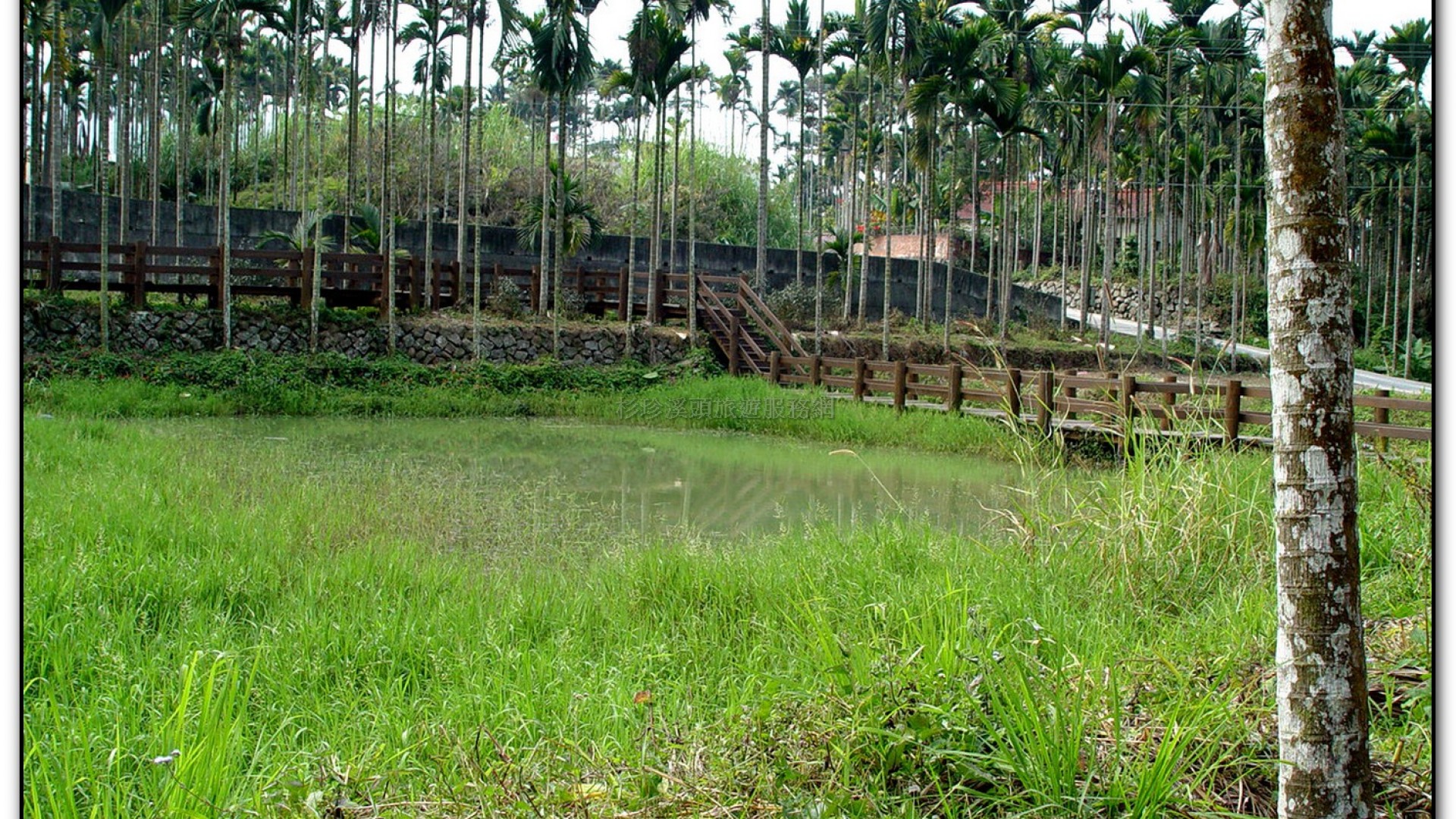 三生緣區-溪頭旅遊景點