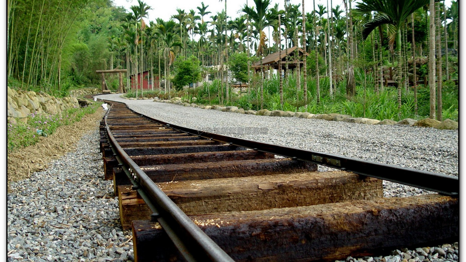 三生緣區-溪頭旅遊景點