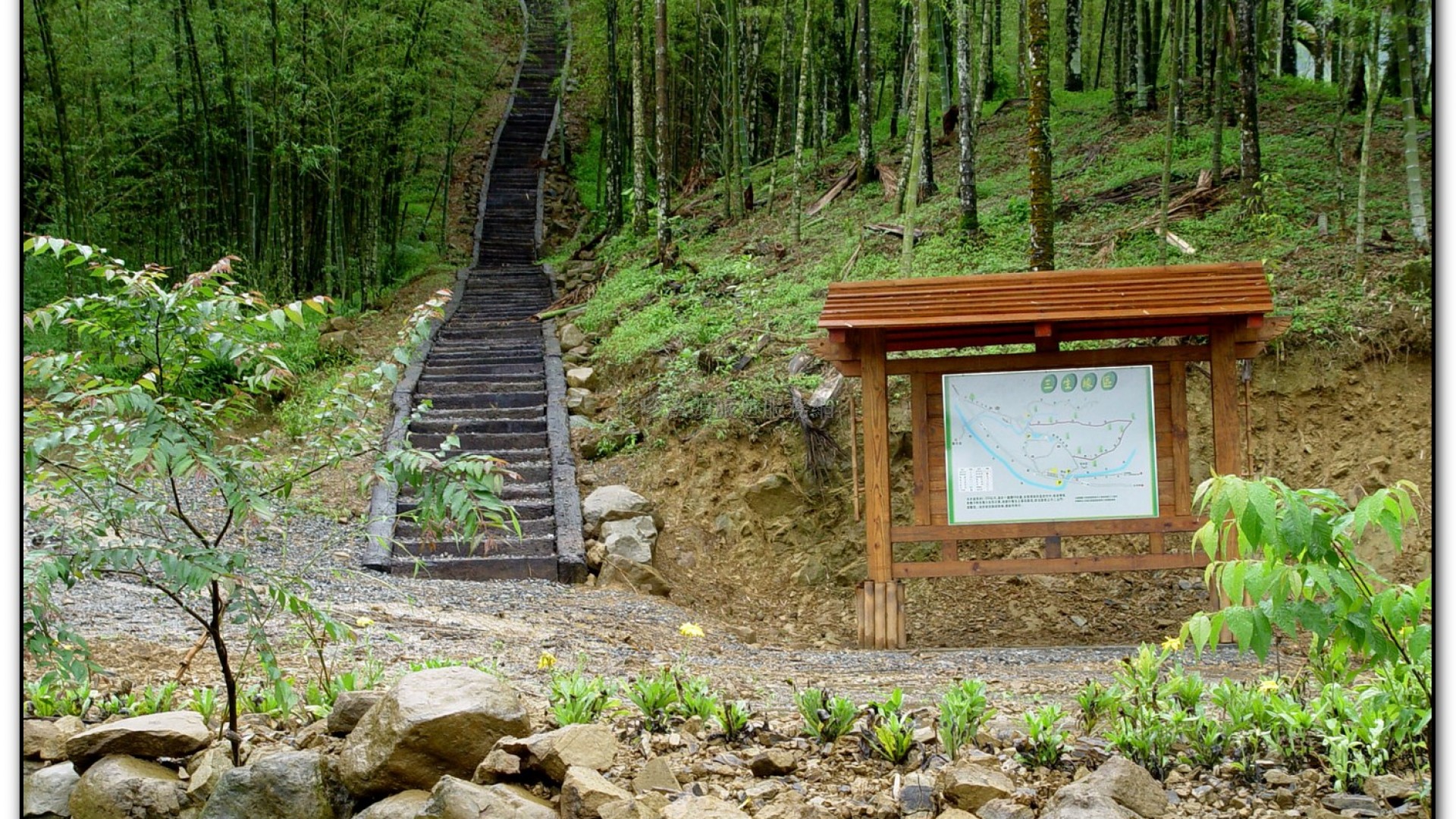 三生緣區-溪頭旅遊景點