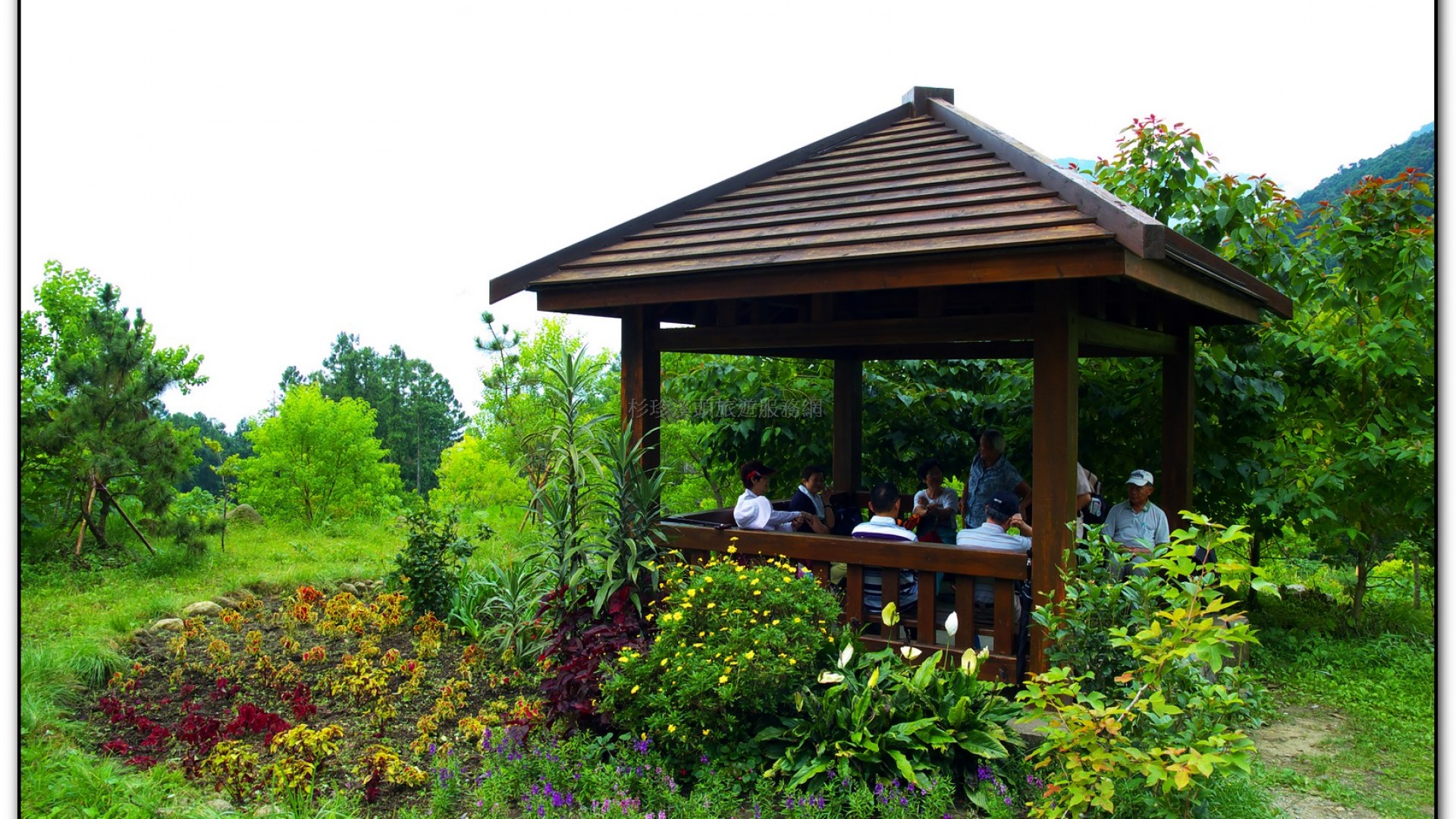 溪頭旅遊景點-大學坑