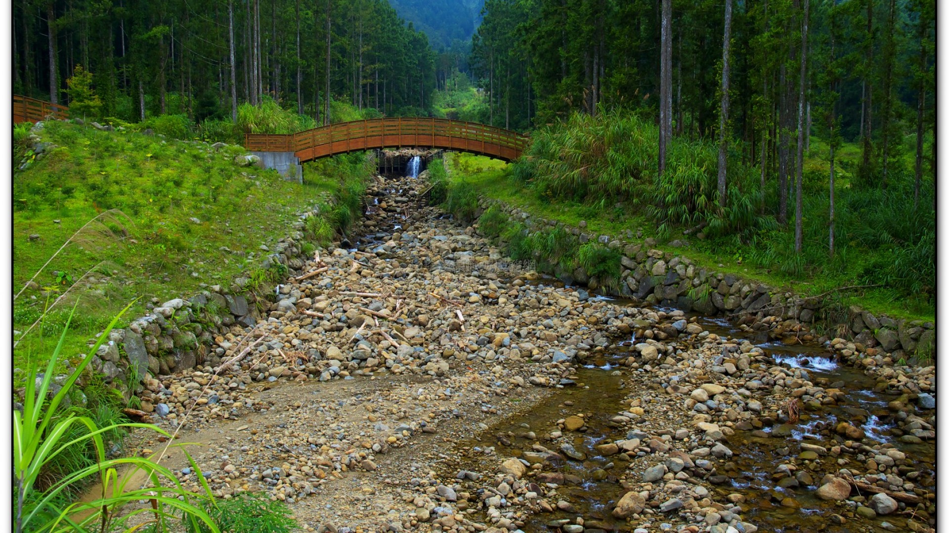 溪頭旅遊景點-大學坑