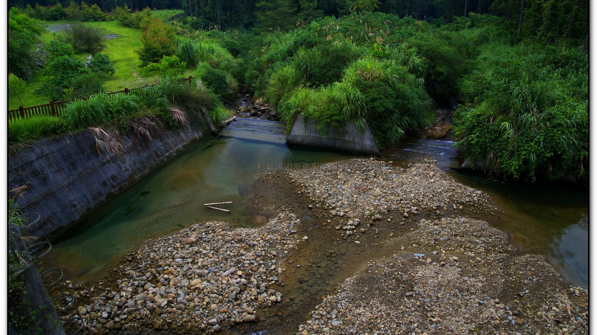 溪頭旅遊景點-大學坑