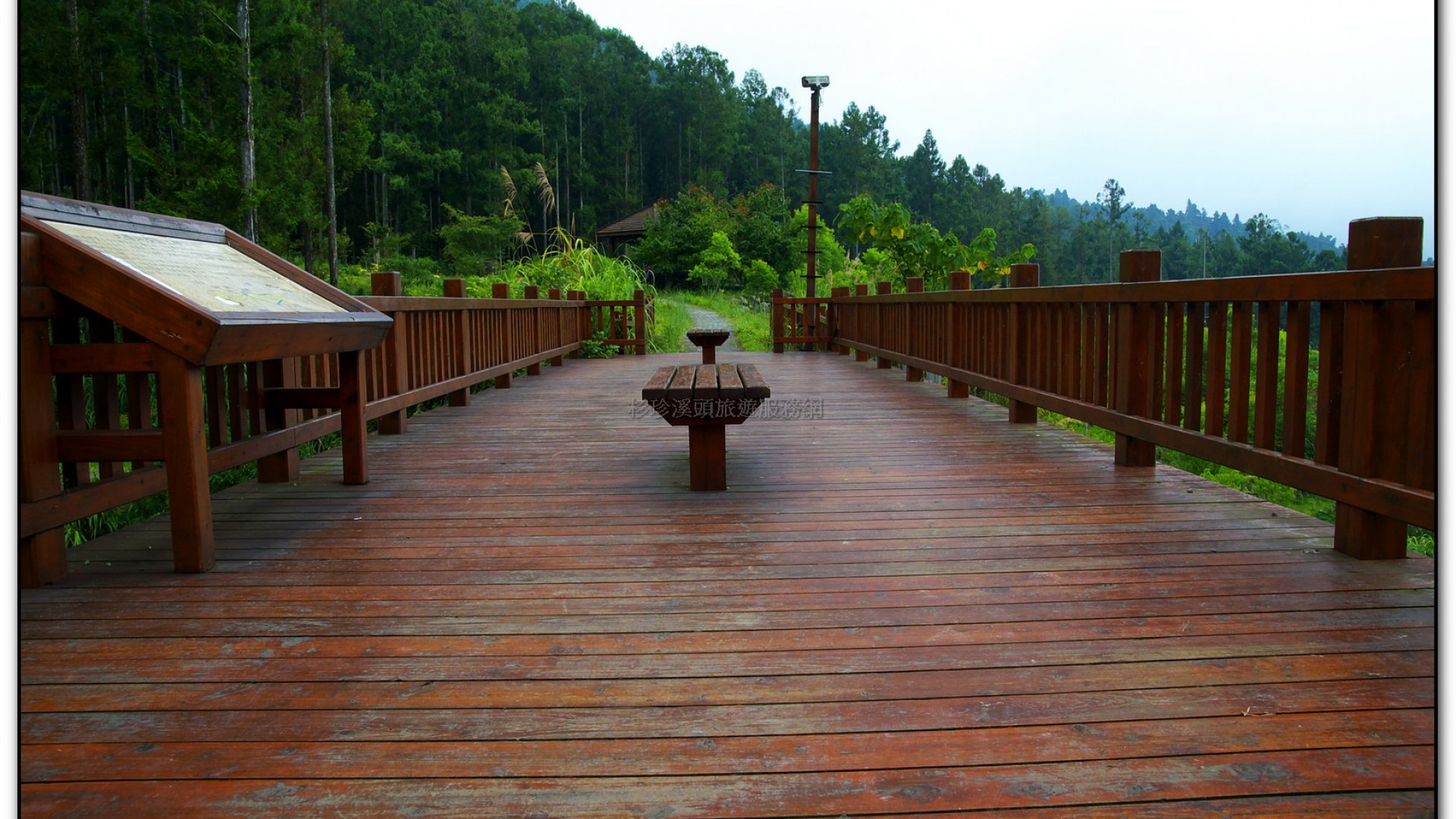 溪頭旅遊景點-大學坑