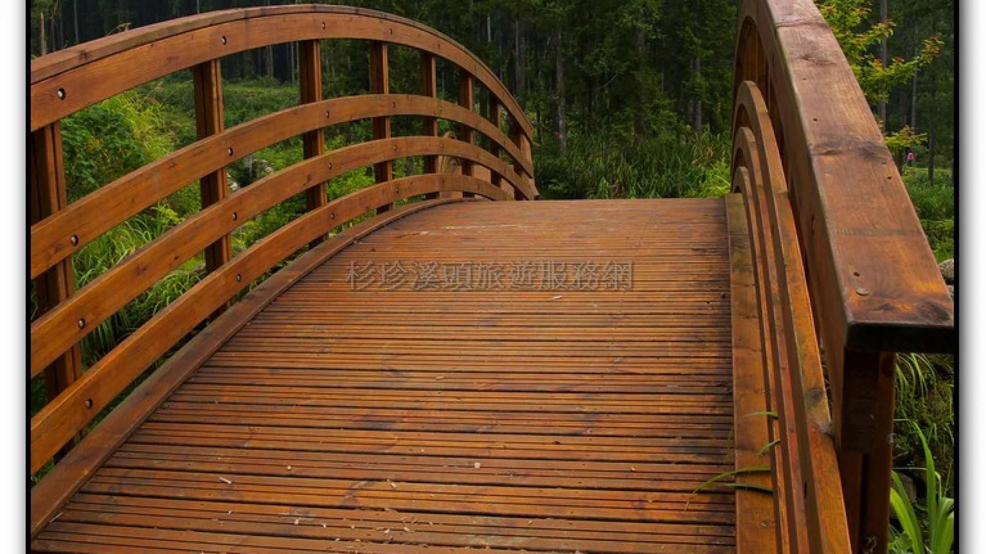 溪頭旅遊景點-大學坑