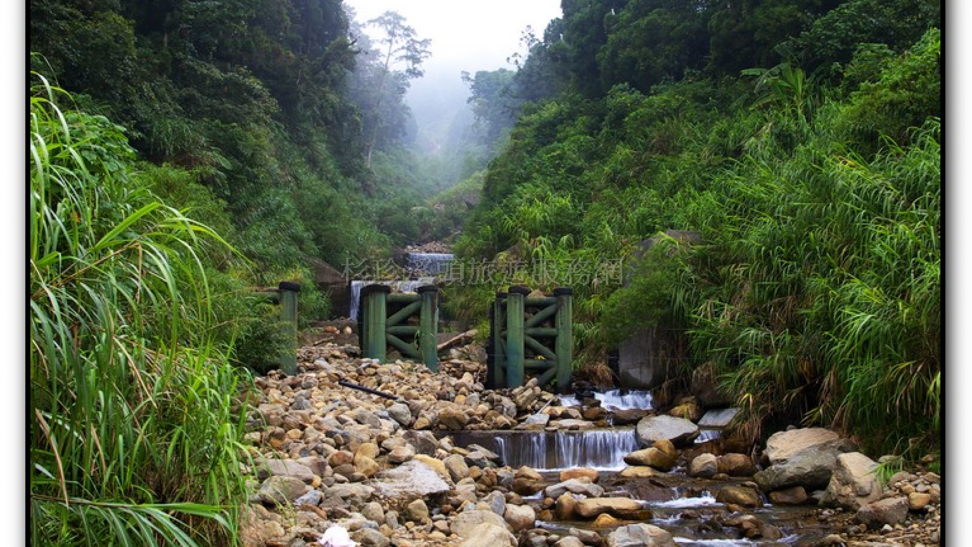 溪頭旅遊景點-大學坑