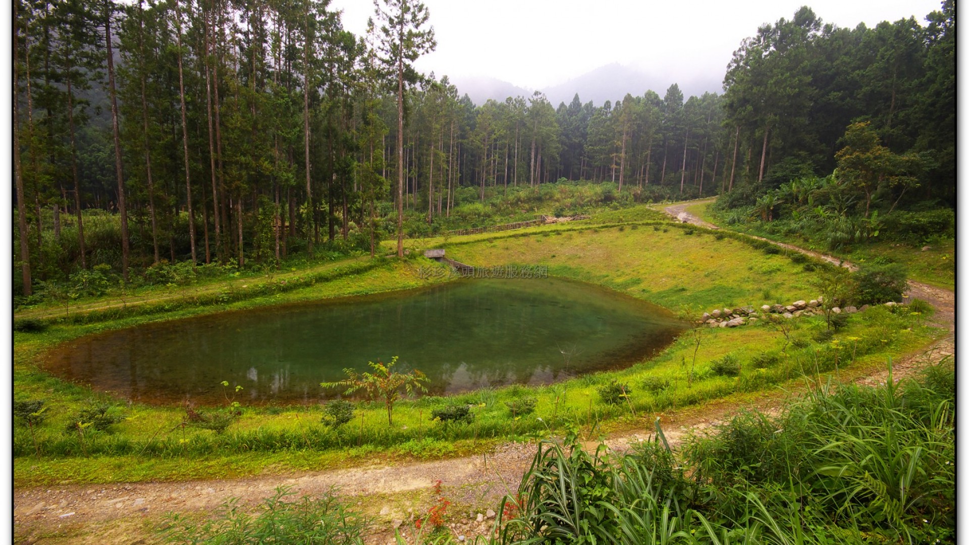 溪頭旅遊景點-大學坑
