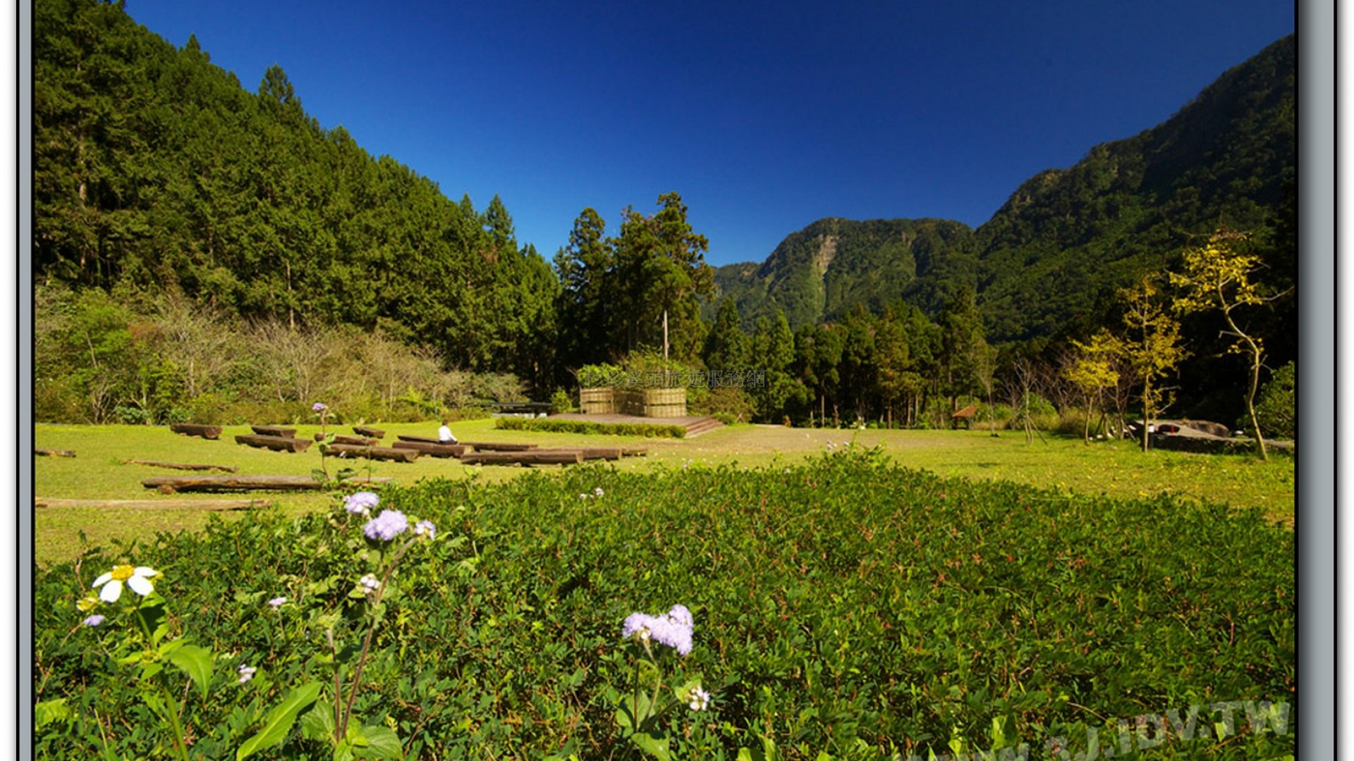 音樂草坪-溪頭旅遊景點