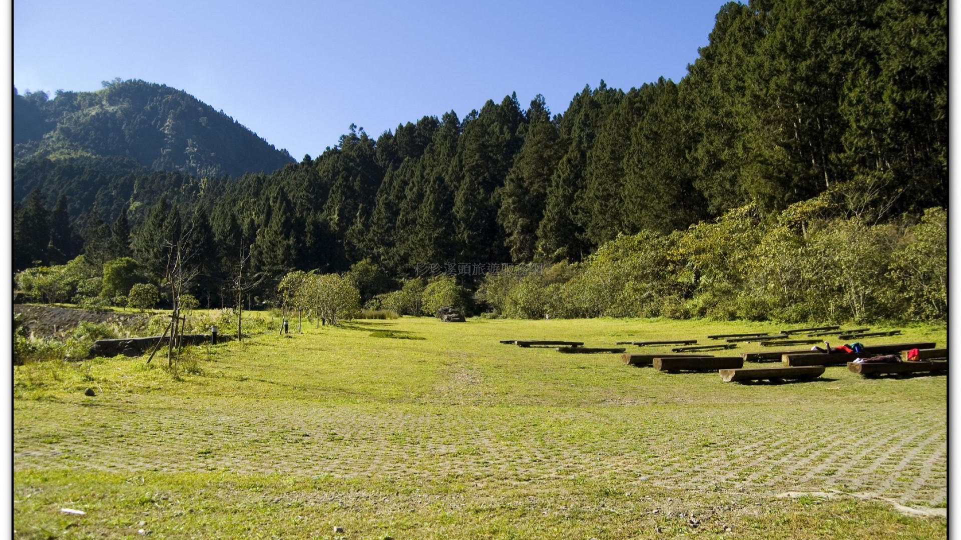 音樂草坪-溪頭旅遊景點