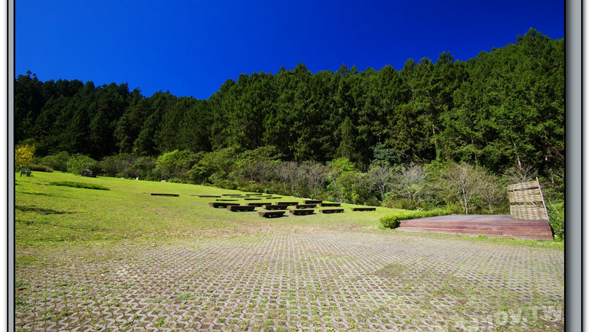 音樂草坪-溪頭旅遊景點