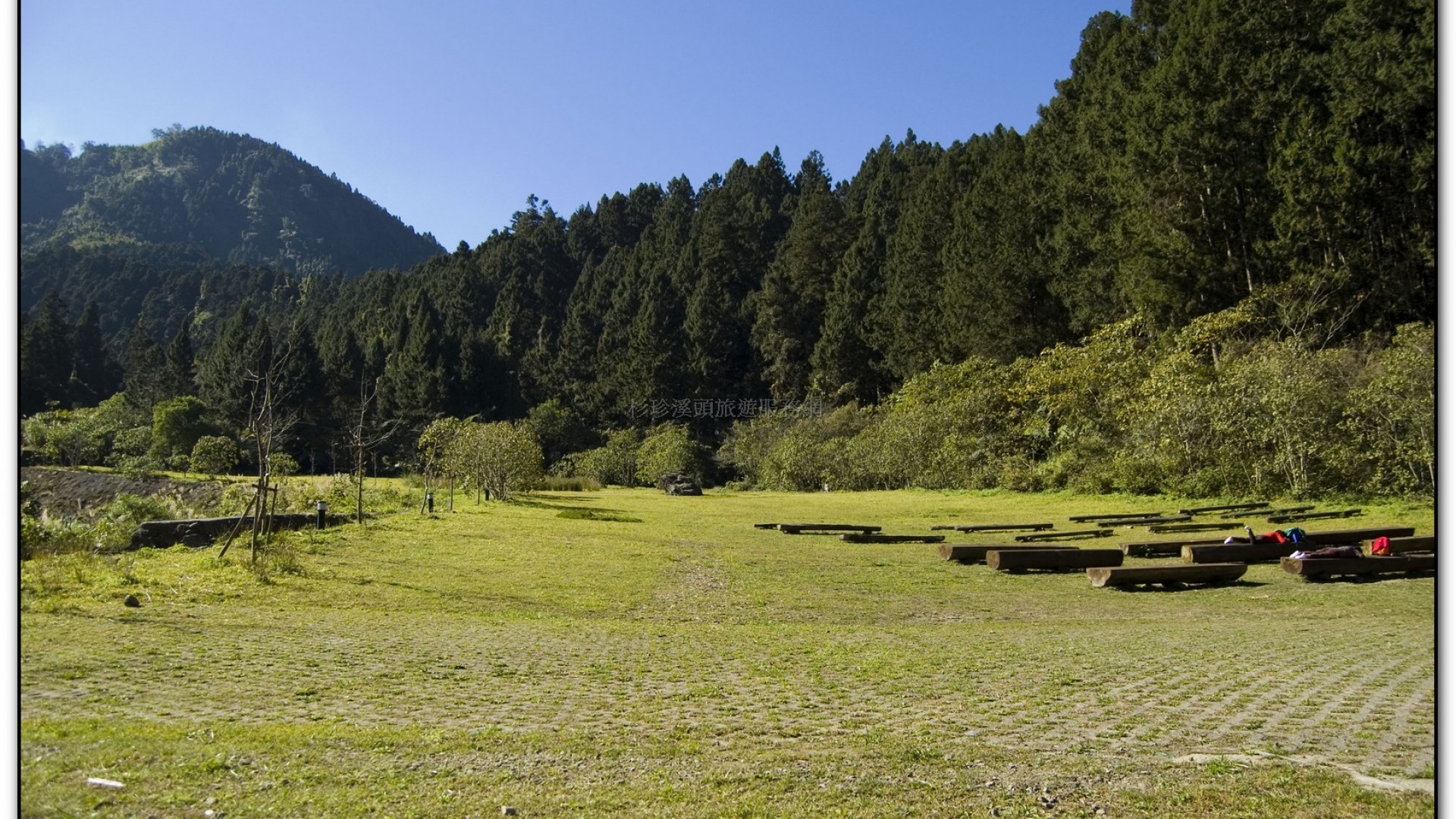 音樂草坪-溪頭旅遊景點