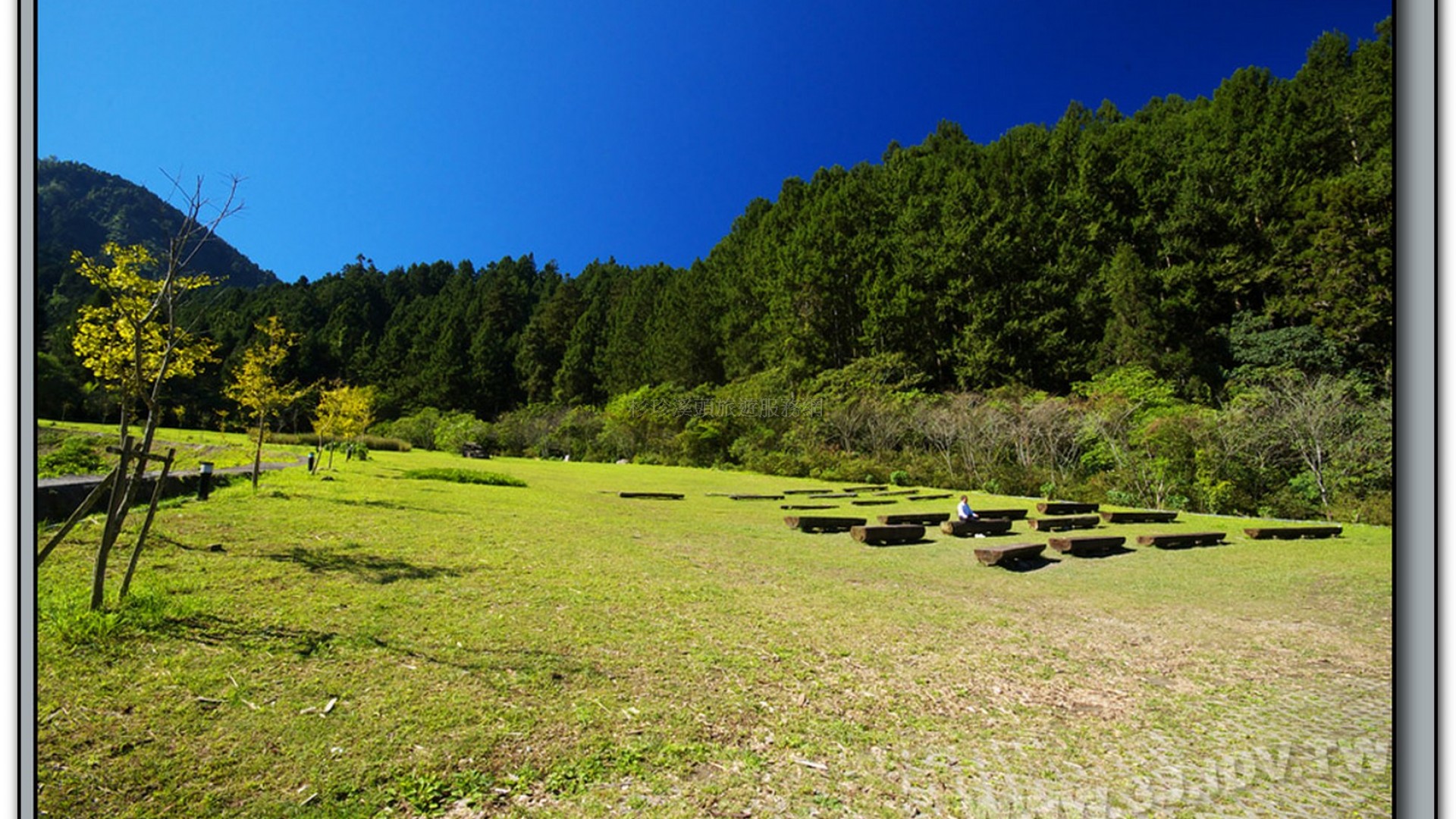 音樂草坪-溪頭旅遊景點