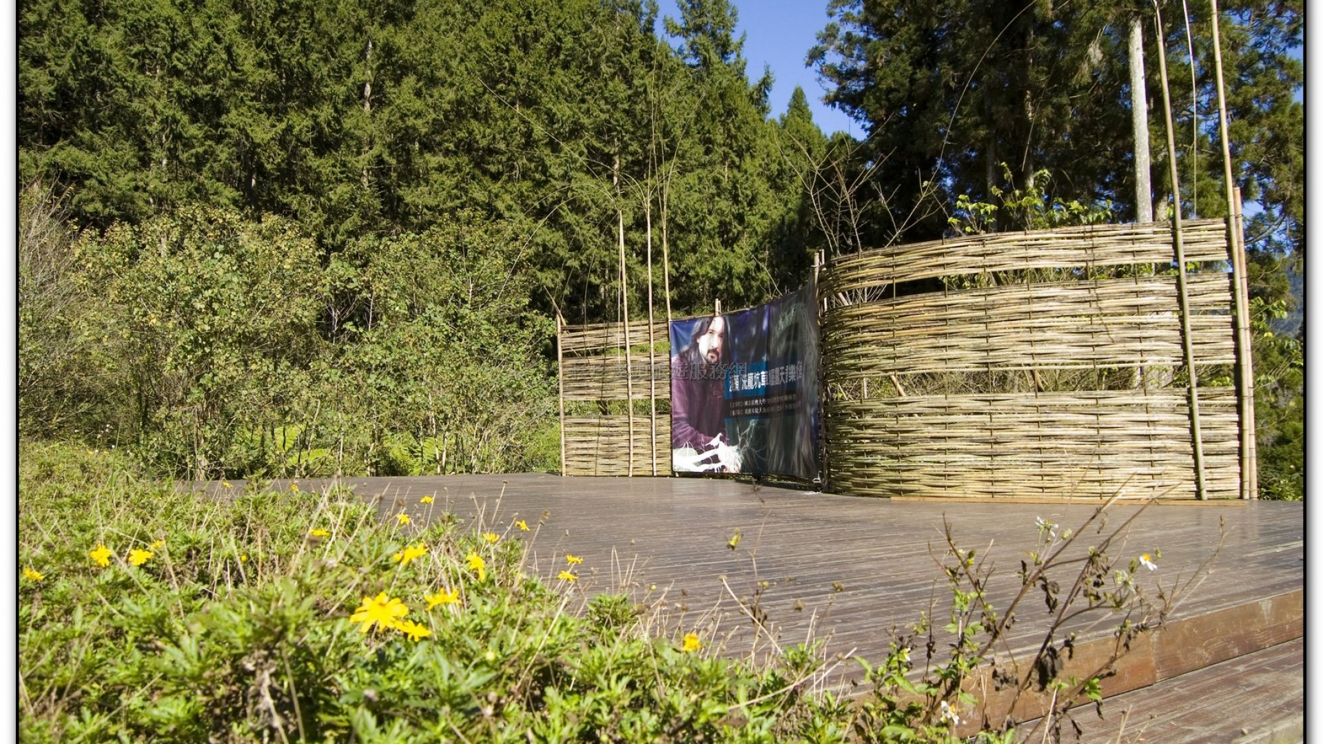 音樂草坪-溪頭旅遊景點