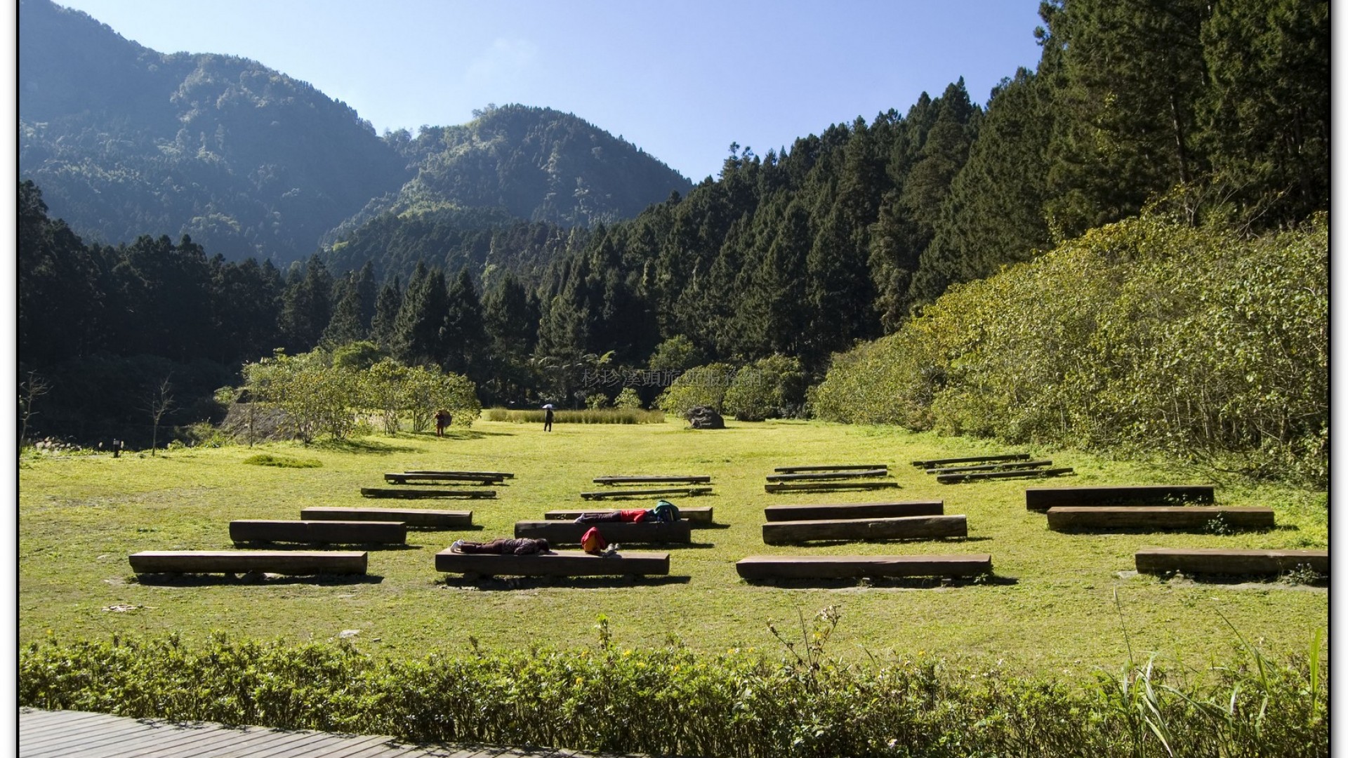 音樂草坪-溪頭旅遊景點