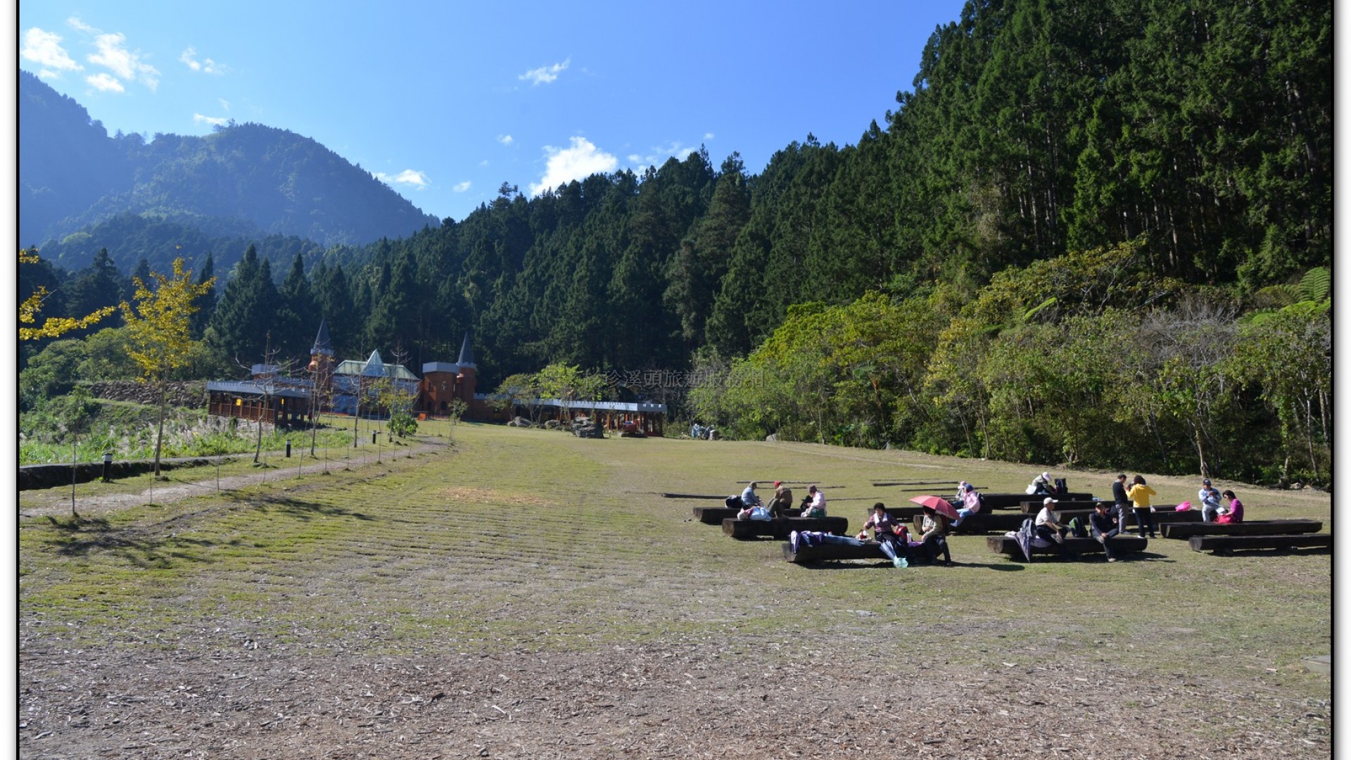 音樂草坪-溪頭旅遊景點