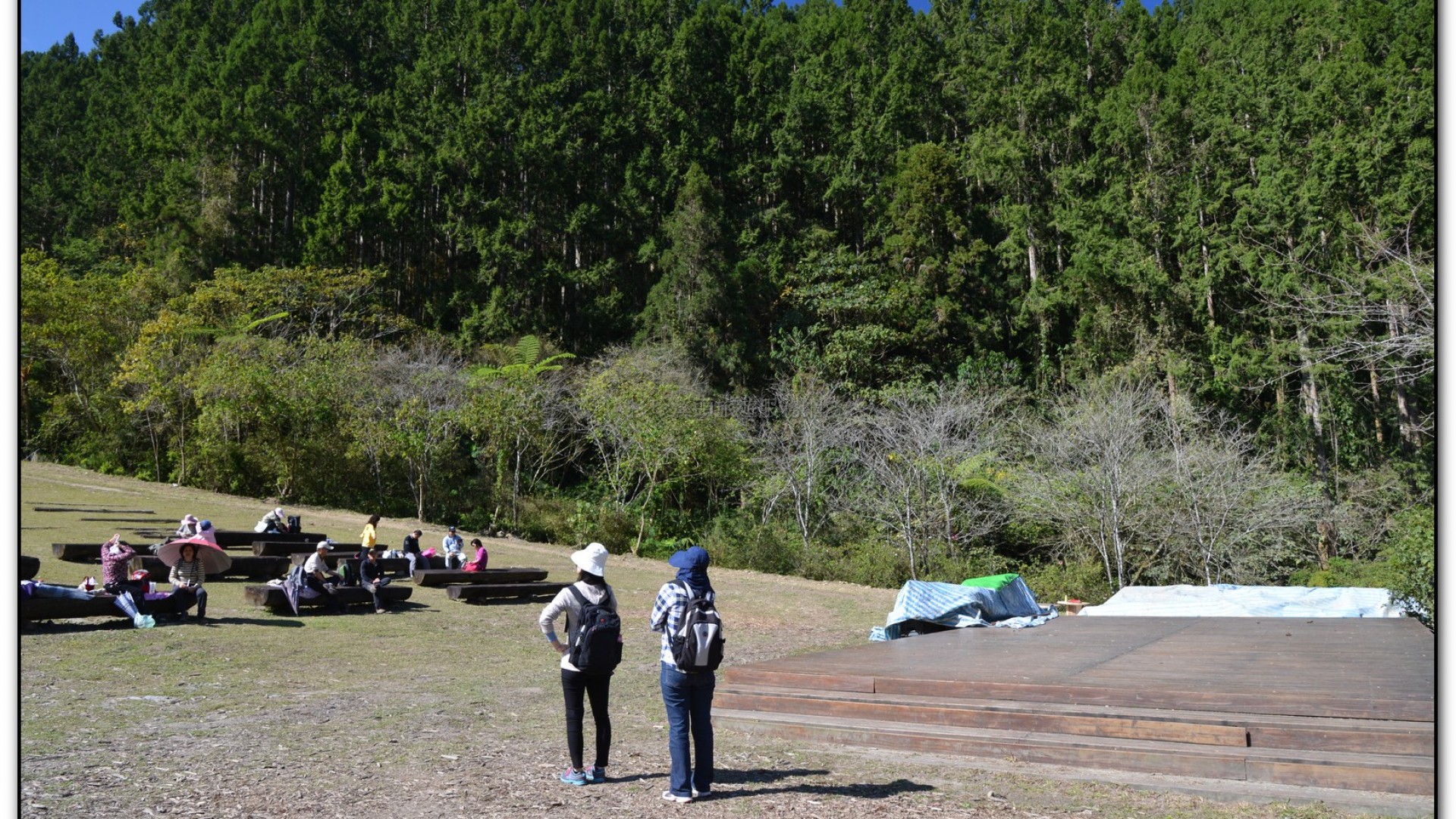音樂草坪-溪頭旅遊景點