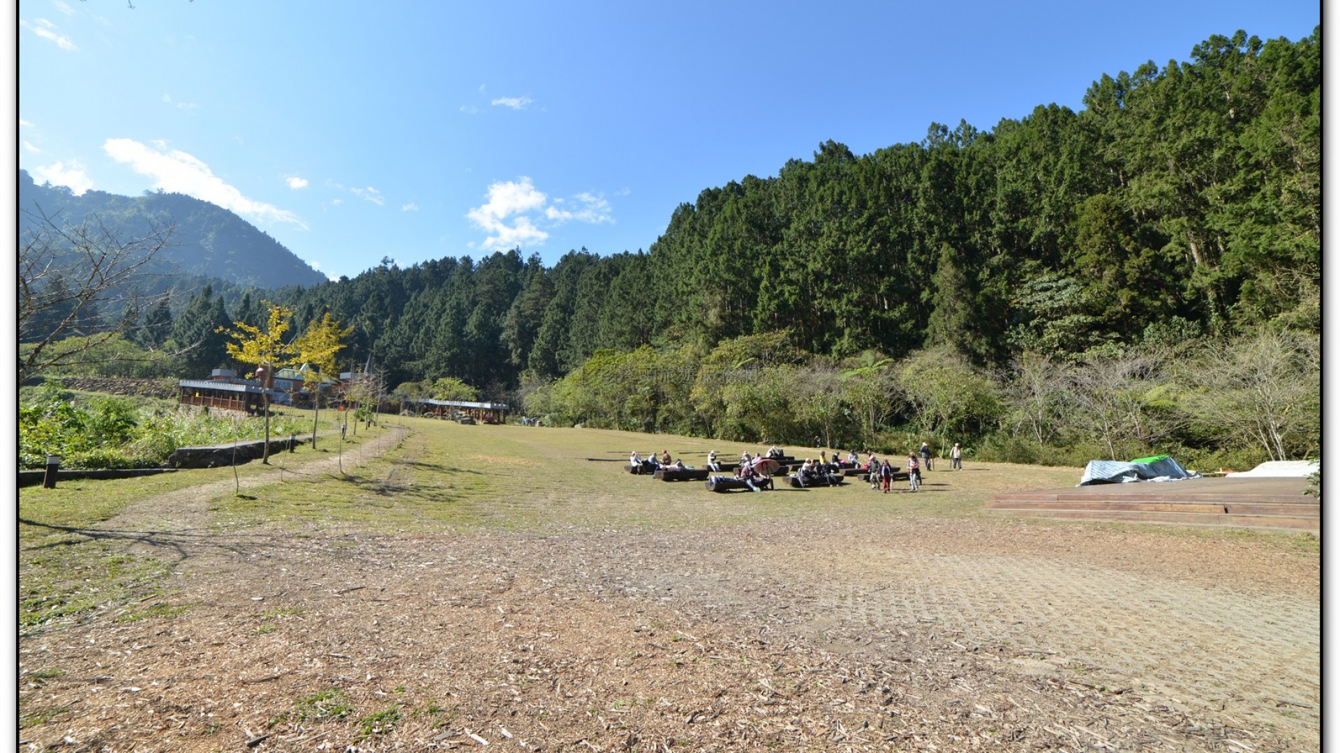 音樂草坪-溪頭旅遊景點