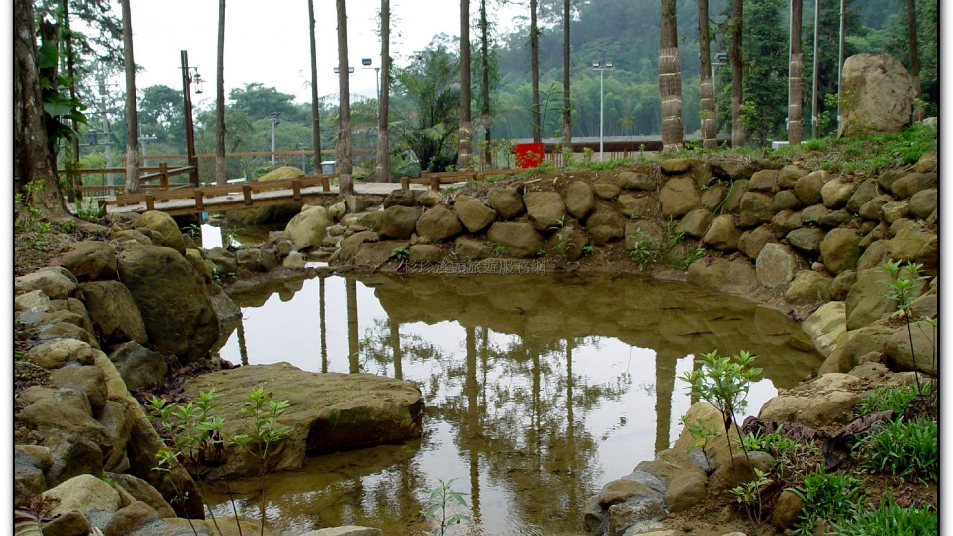 內湖國小-溪頭旅遊景點