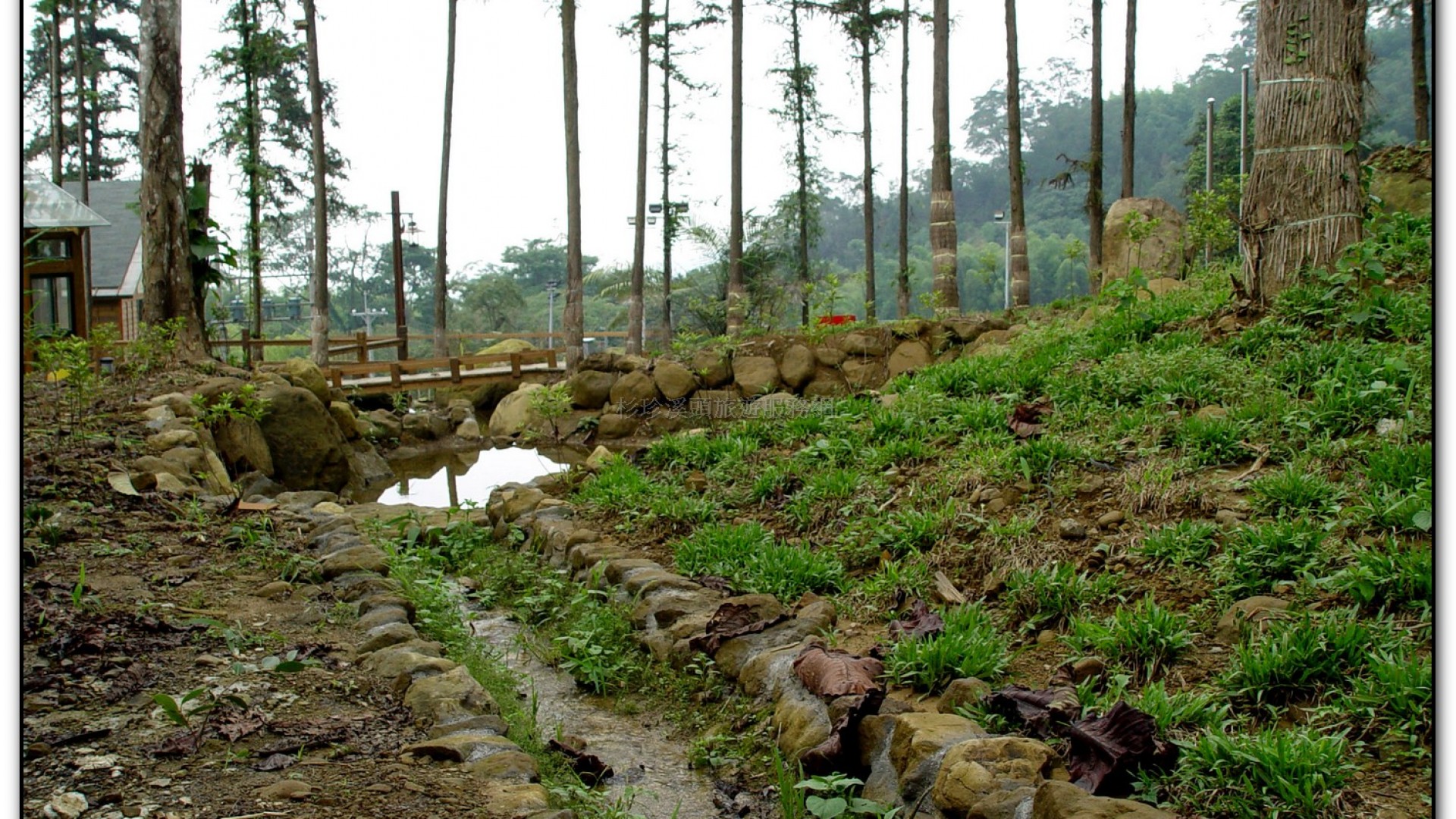 內湖國小-溪頭旅遊景點