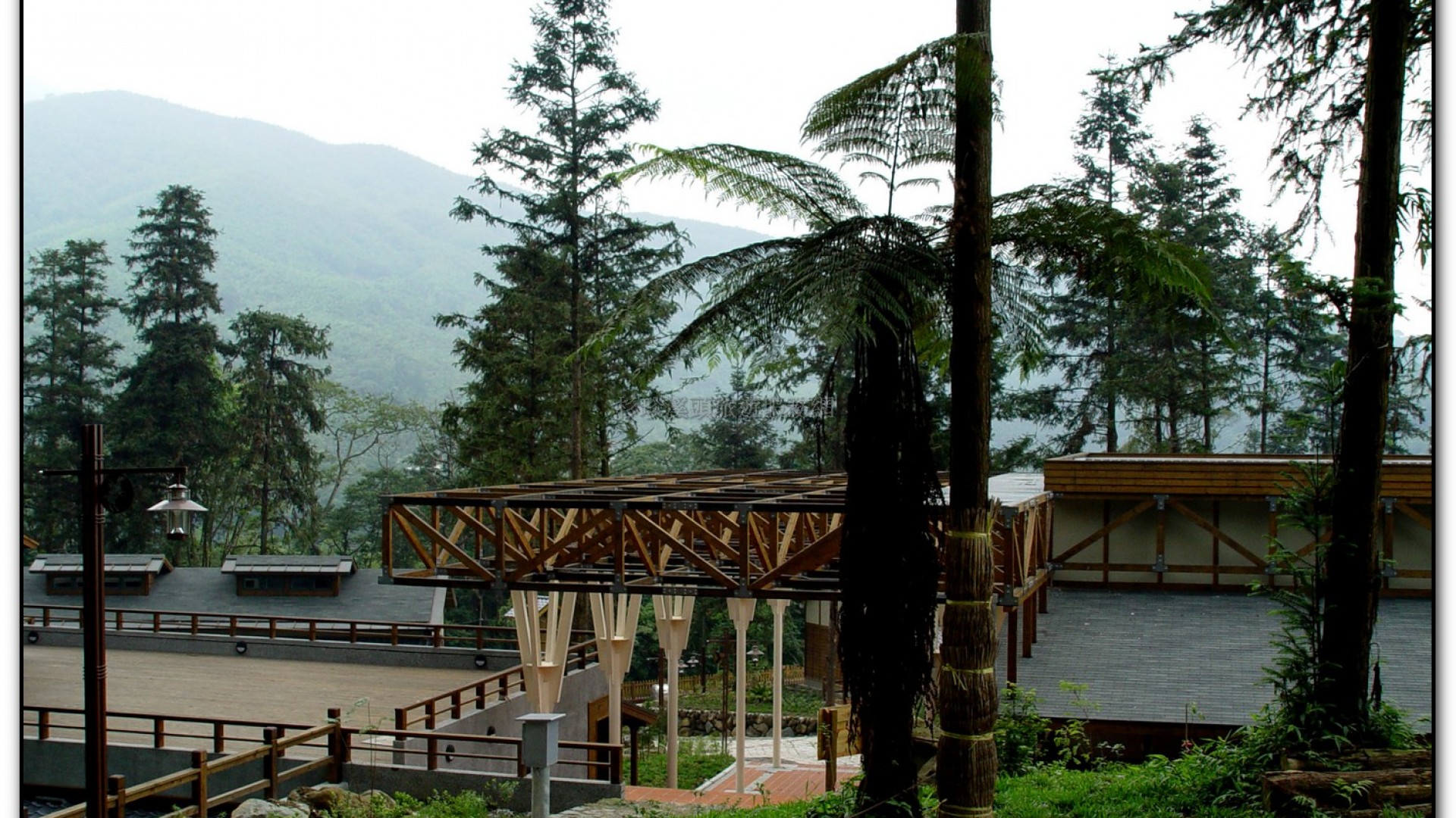 內湖國小-溪頭旅遊景點