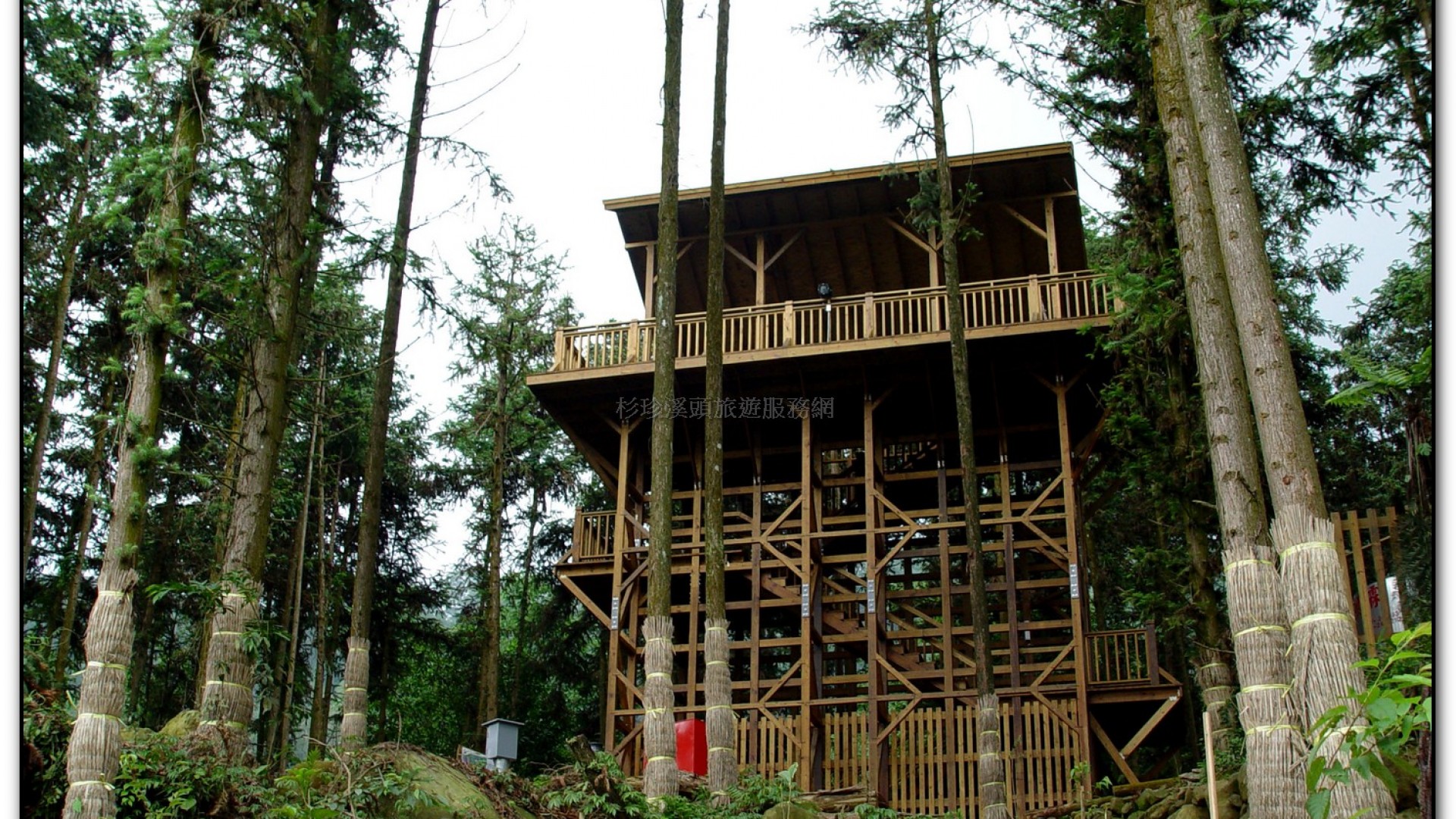 內湖國小-溪頭旅遊景點