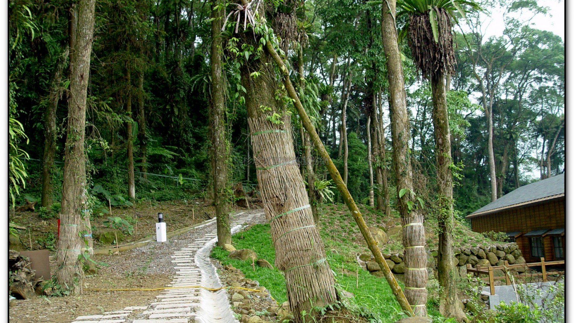 內湖國小-溪頭旅遊景點
