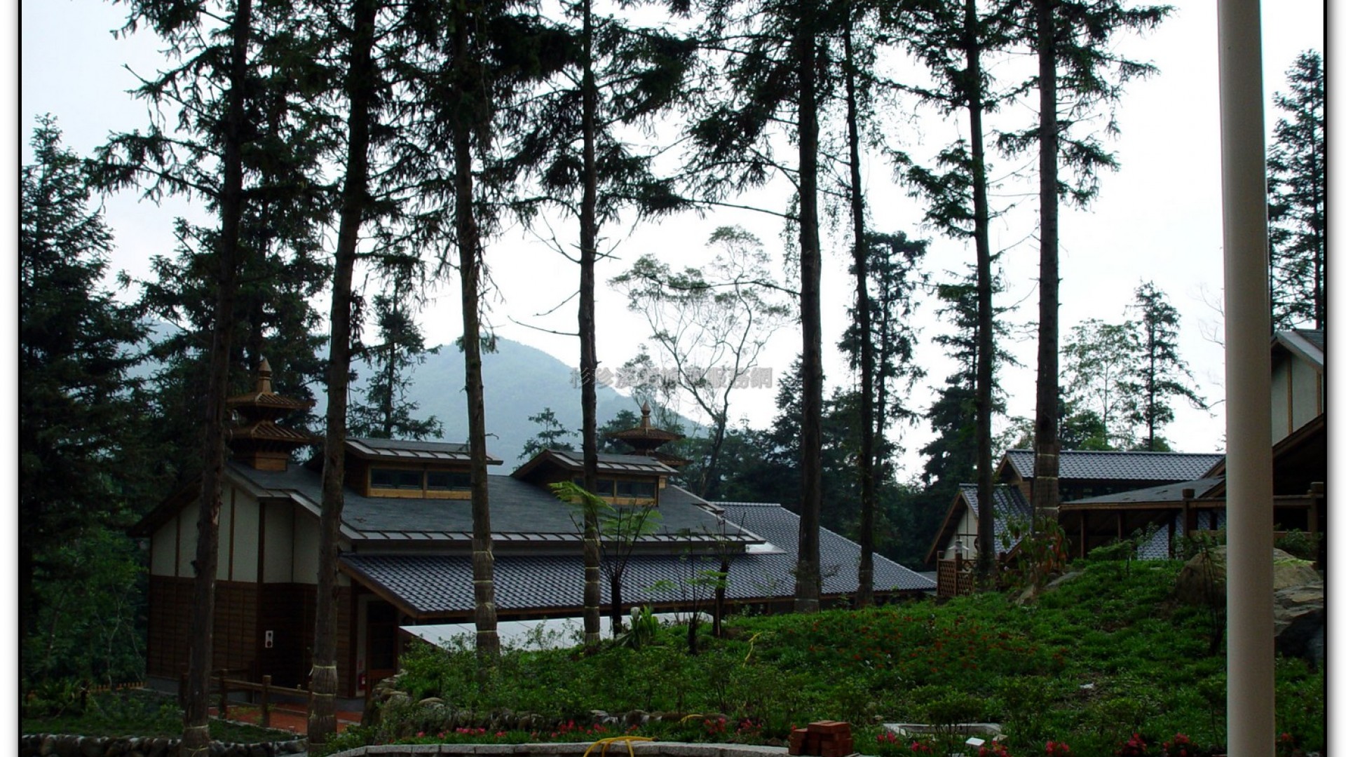 內湖國小-溪頭旅遊景點