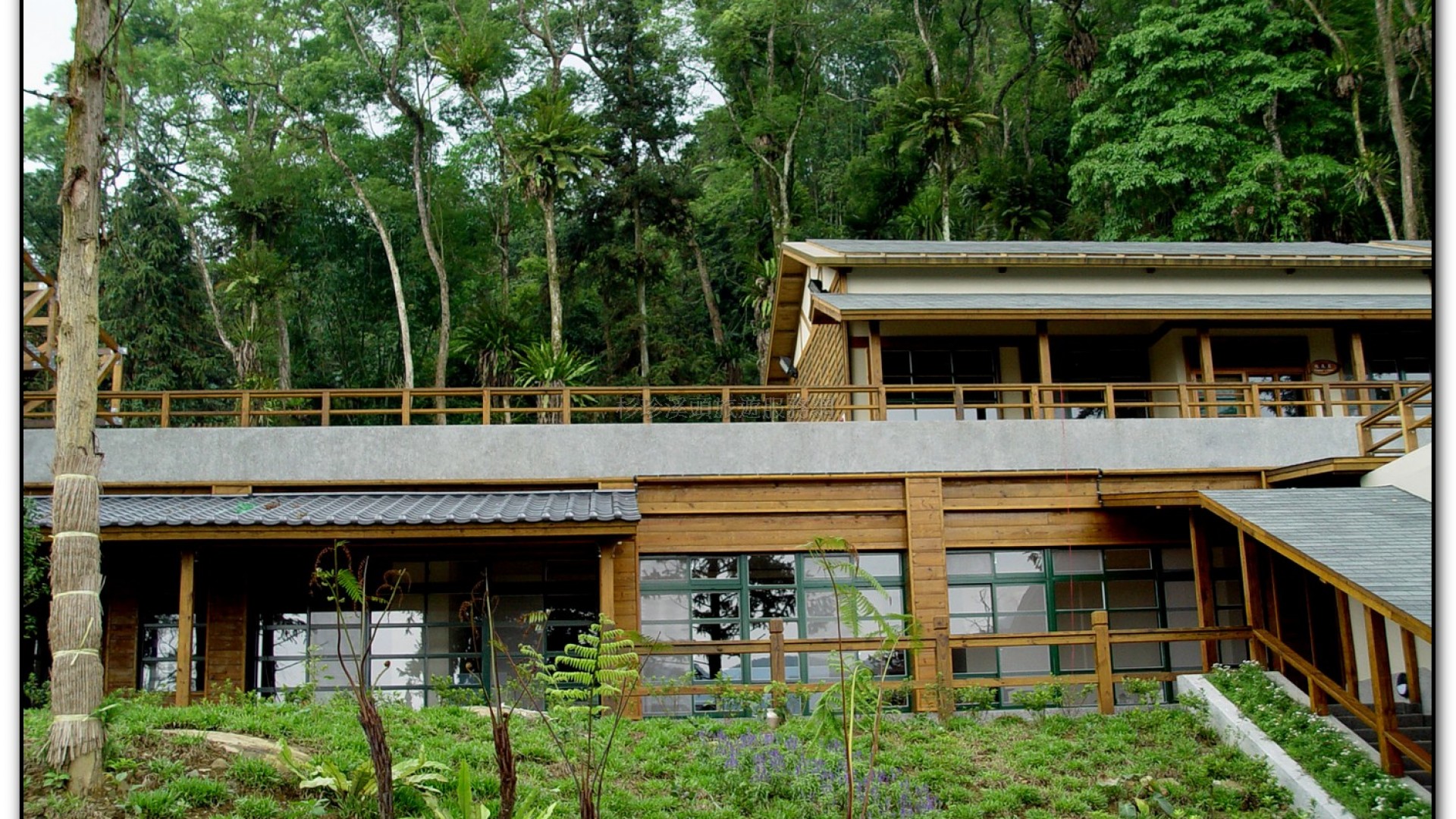 內湖國小-溪頭旅遊景點