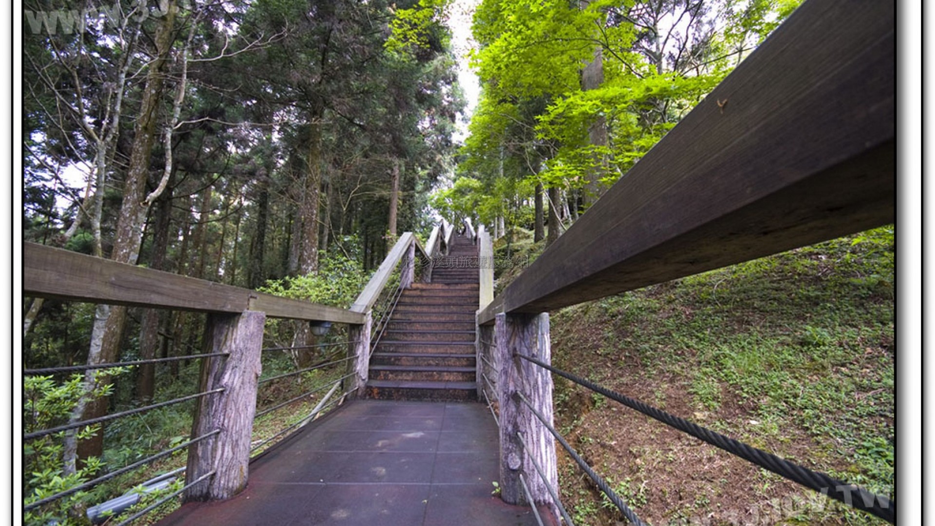 天文台-溪頭旅遊景點