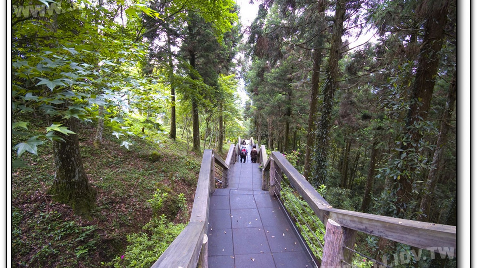 天文台-溪頭旅遊景點