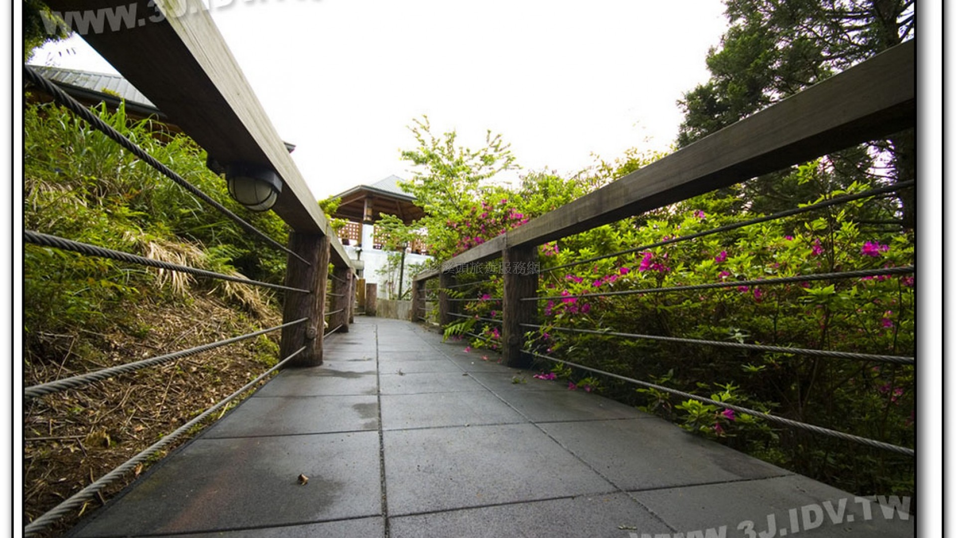 天文台-溪頭旅遊景點