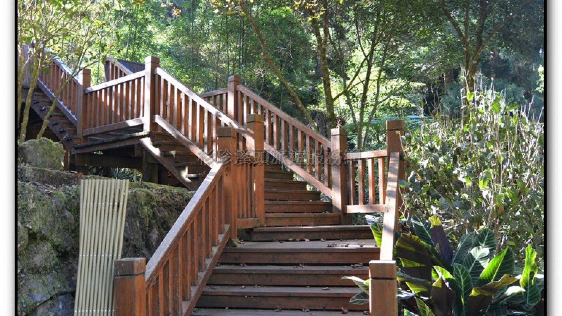 子定亭苗圃-溪頭旅遊景點