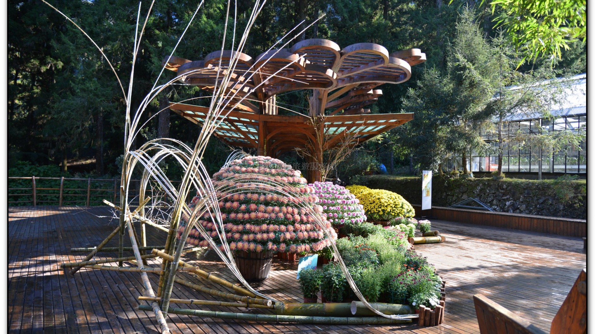 子定亭苗圃-溪頭旅遊景點