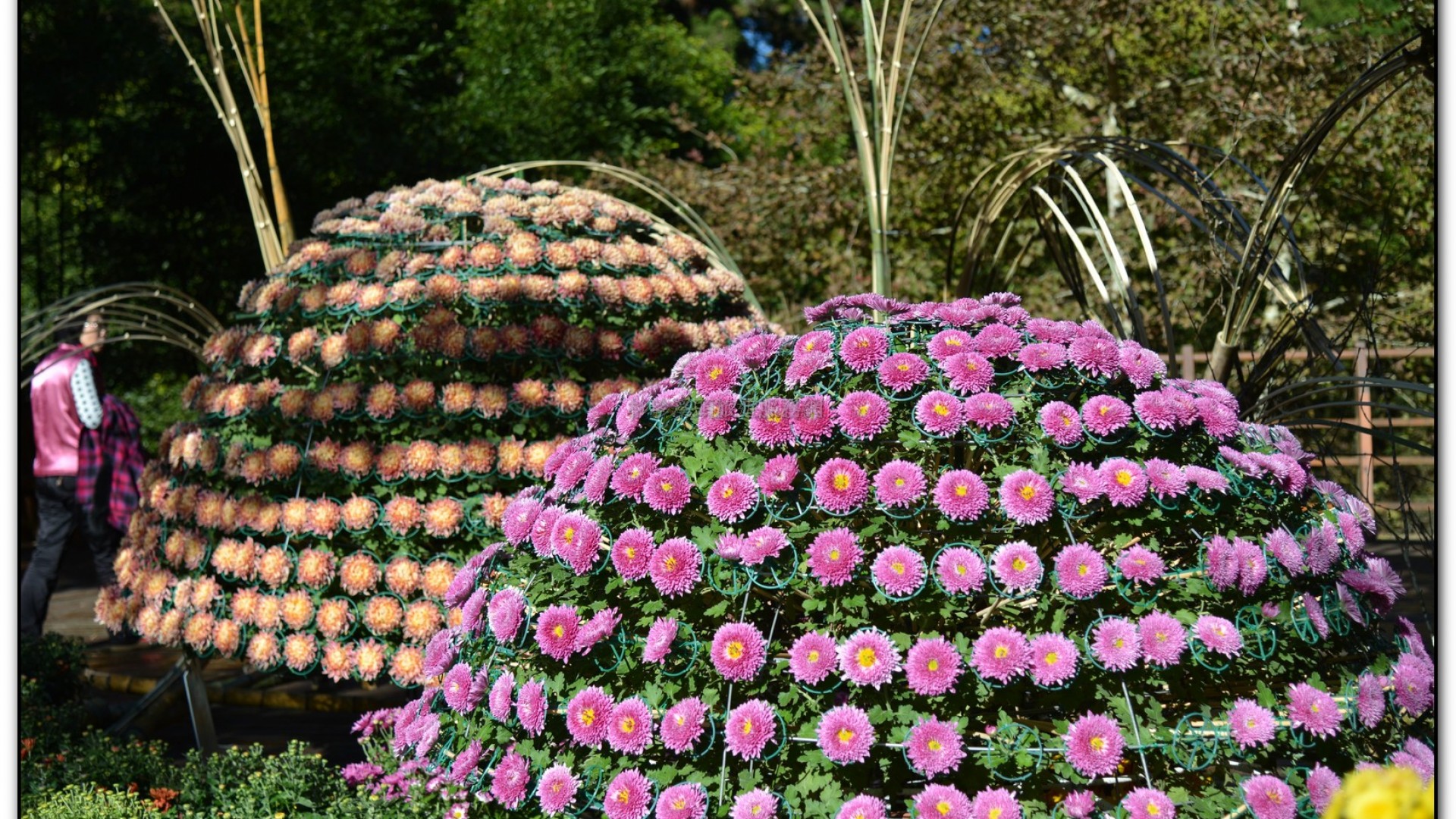 子定亭苗圃-溪頭旅遊景點