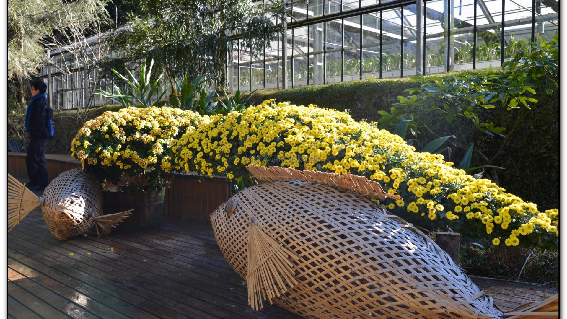 子定亭苗圃-溪頭旅遊景點