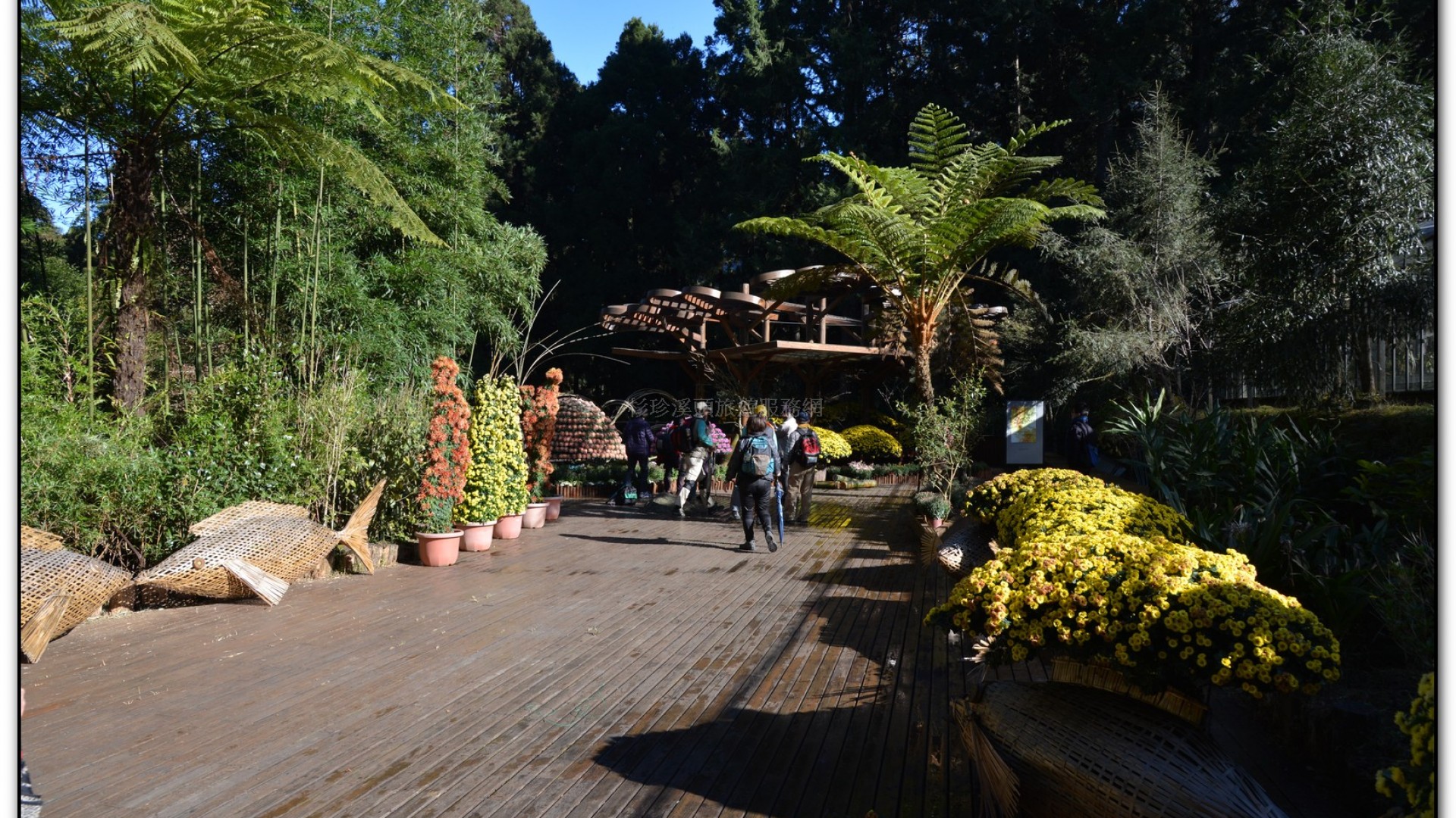 子定亭苗圃-溪頭旅遊景點