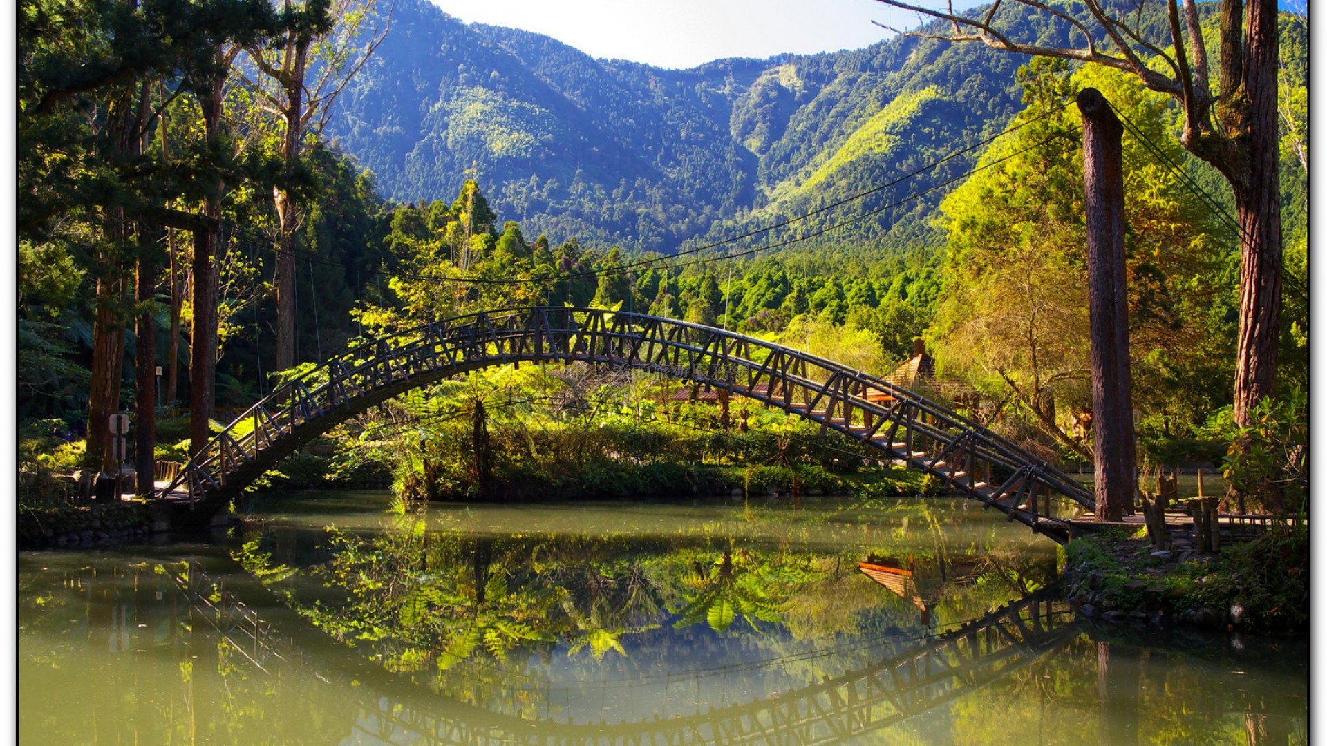 大學池-溪頭旅遊景點