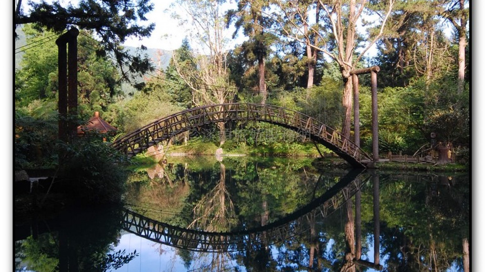 大學池-溪頭旅遊景點