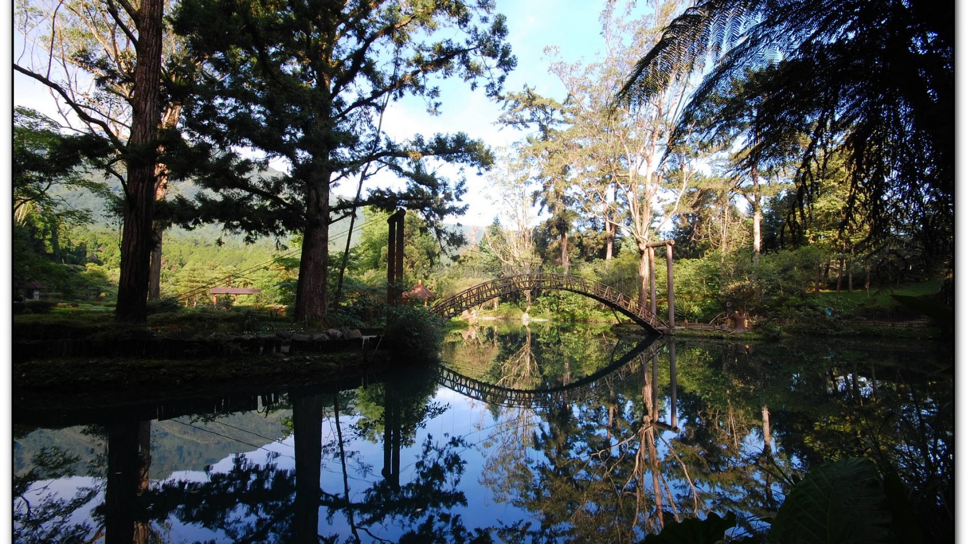 大學池-溪頭旅遊景點