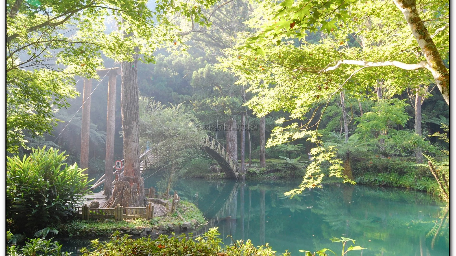 大學池-溪頭旅遊景點