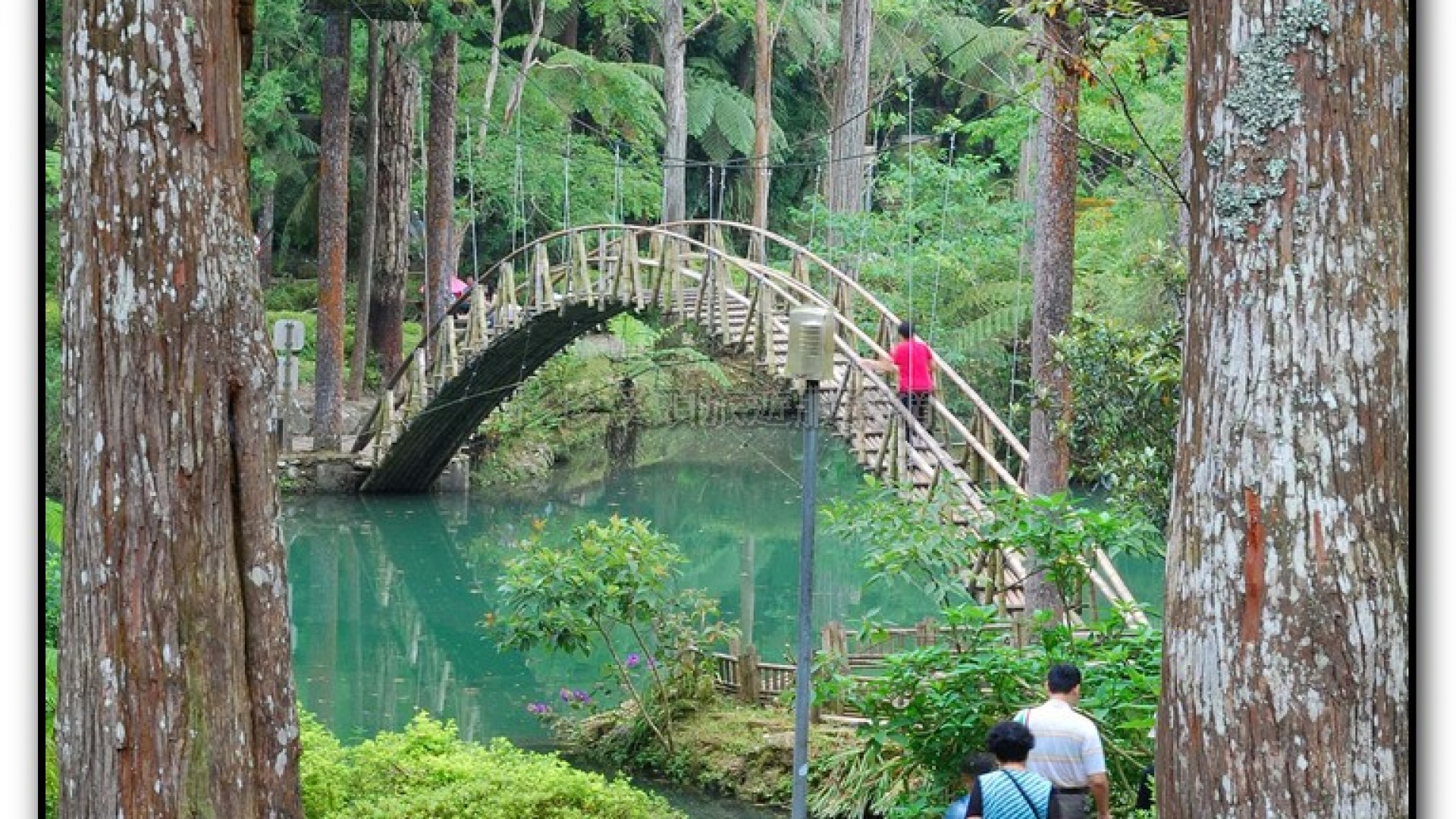大學池-溪頭旅遊景點