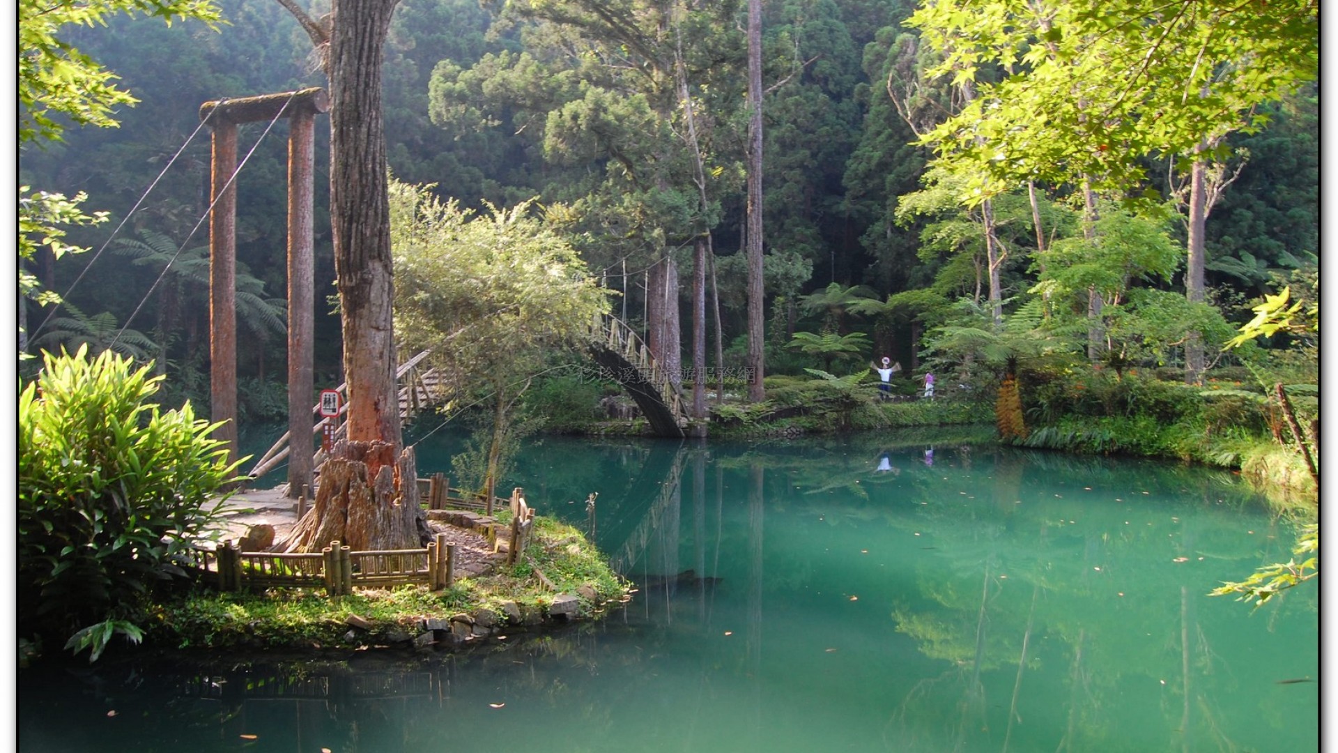 大學池-溪頭旅遊景點